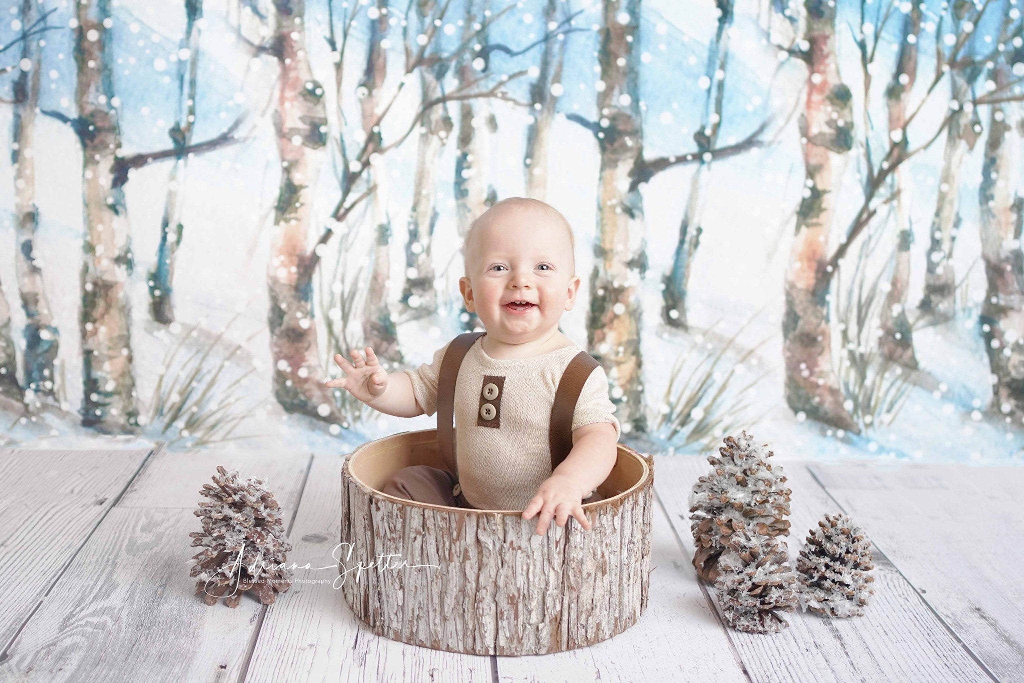 Winter Forest Backdrop Snowy Trees Wonderland Forest Backdrop UK MRR10-35