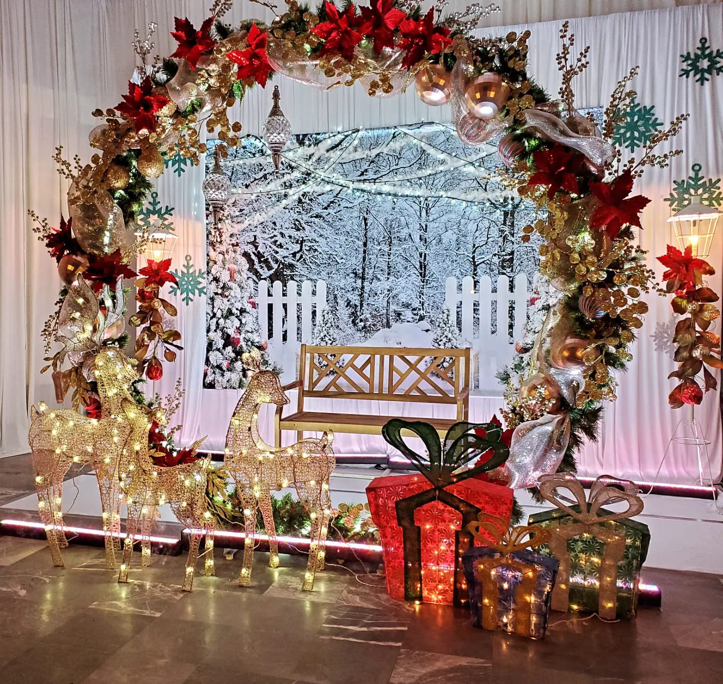 Frozen Forest Light Strings Christmas Backdrop D990