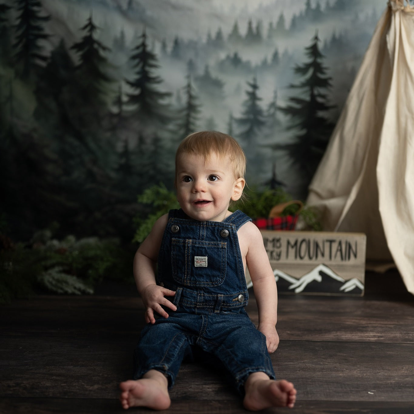 Forest Backdrop Forest Mountain Mist Layers Forest Photography Backdrop UK MRR9-74