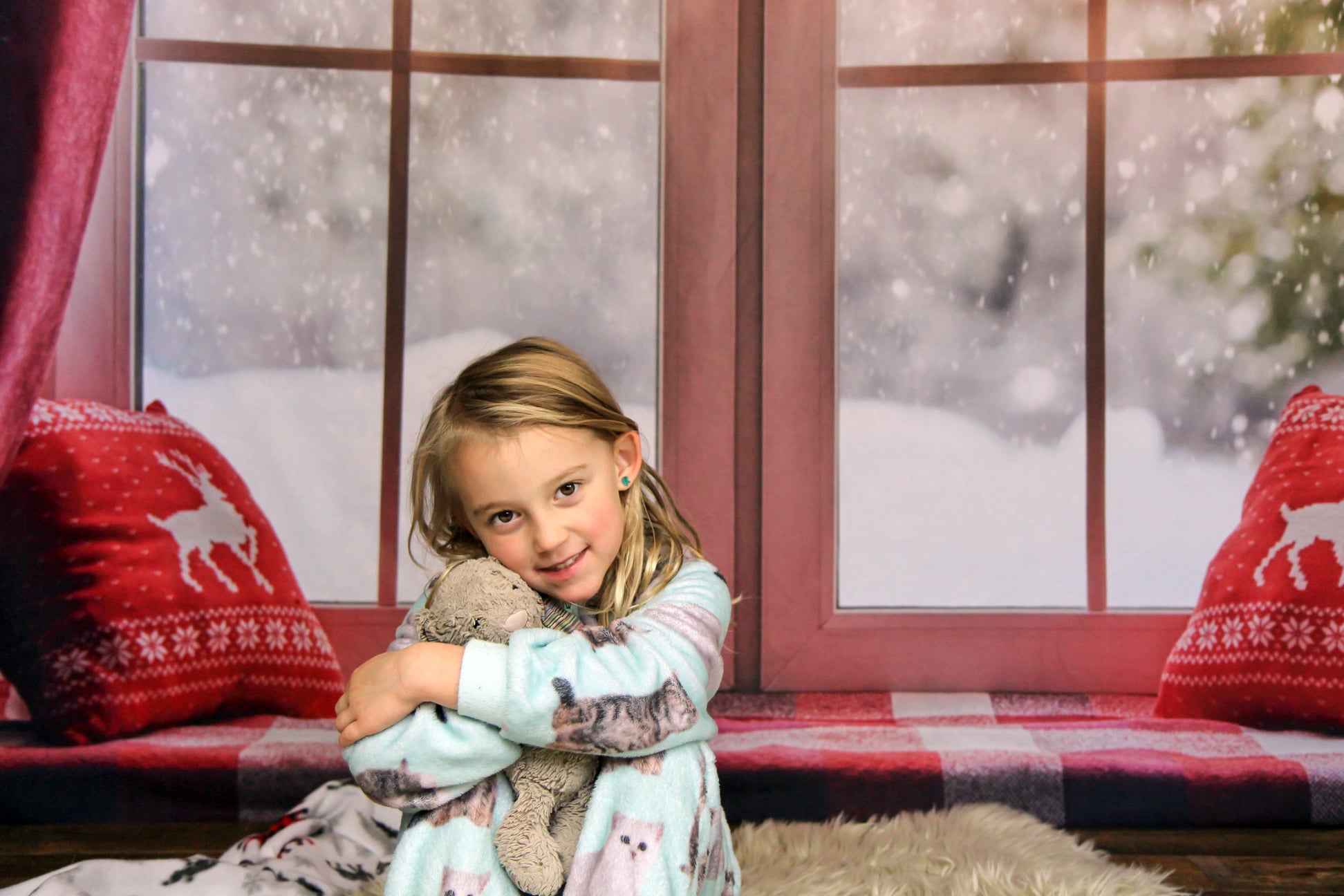 Christmas Snow And Sunshine Outside Window backdrop UK for Photography DBD-H19155