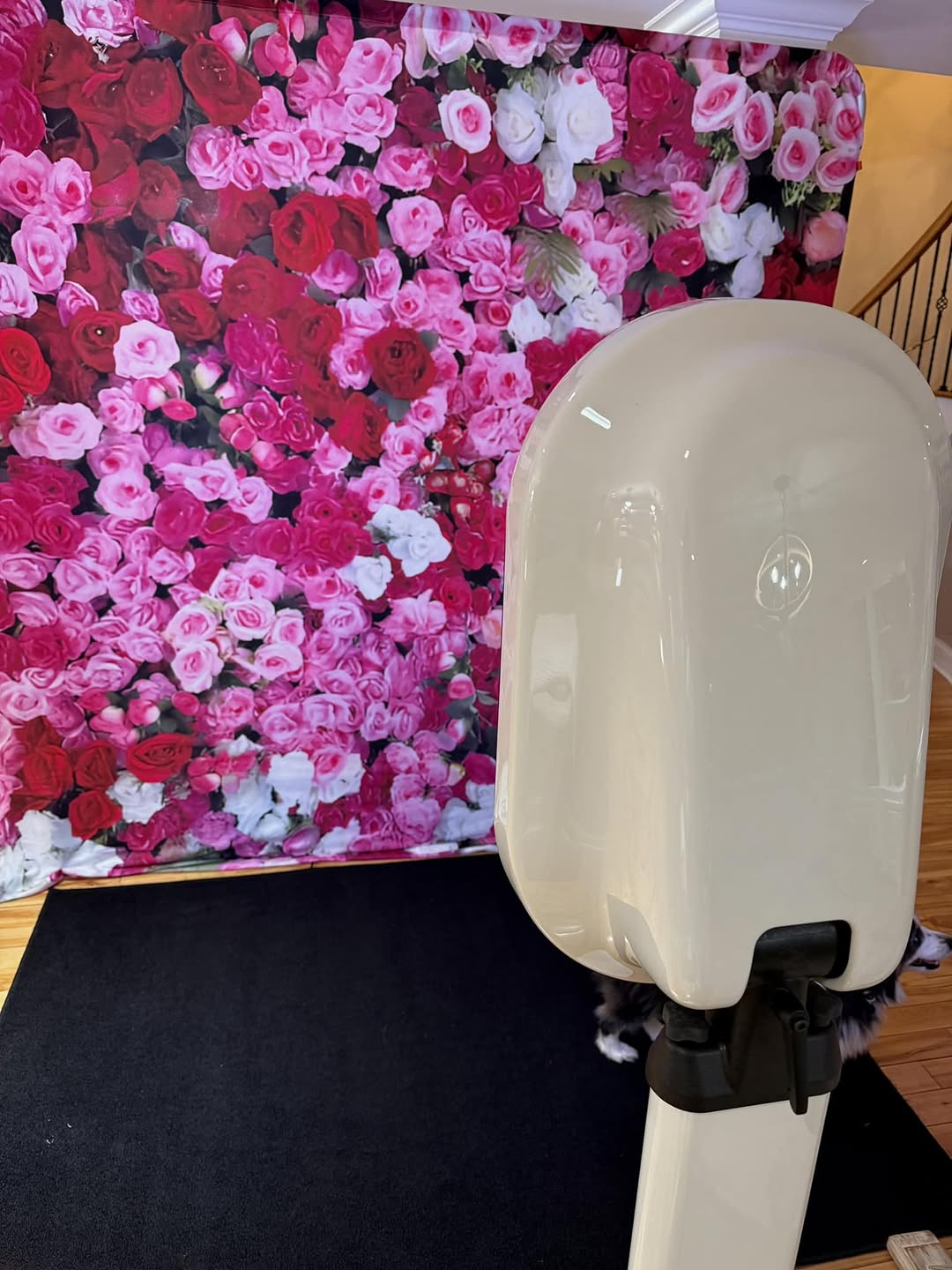 Colorful Roses Backdrop for Wedding Party SH-1017