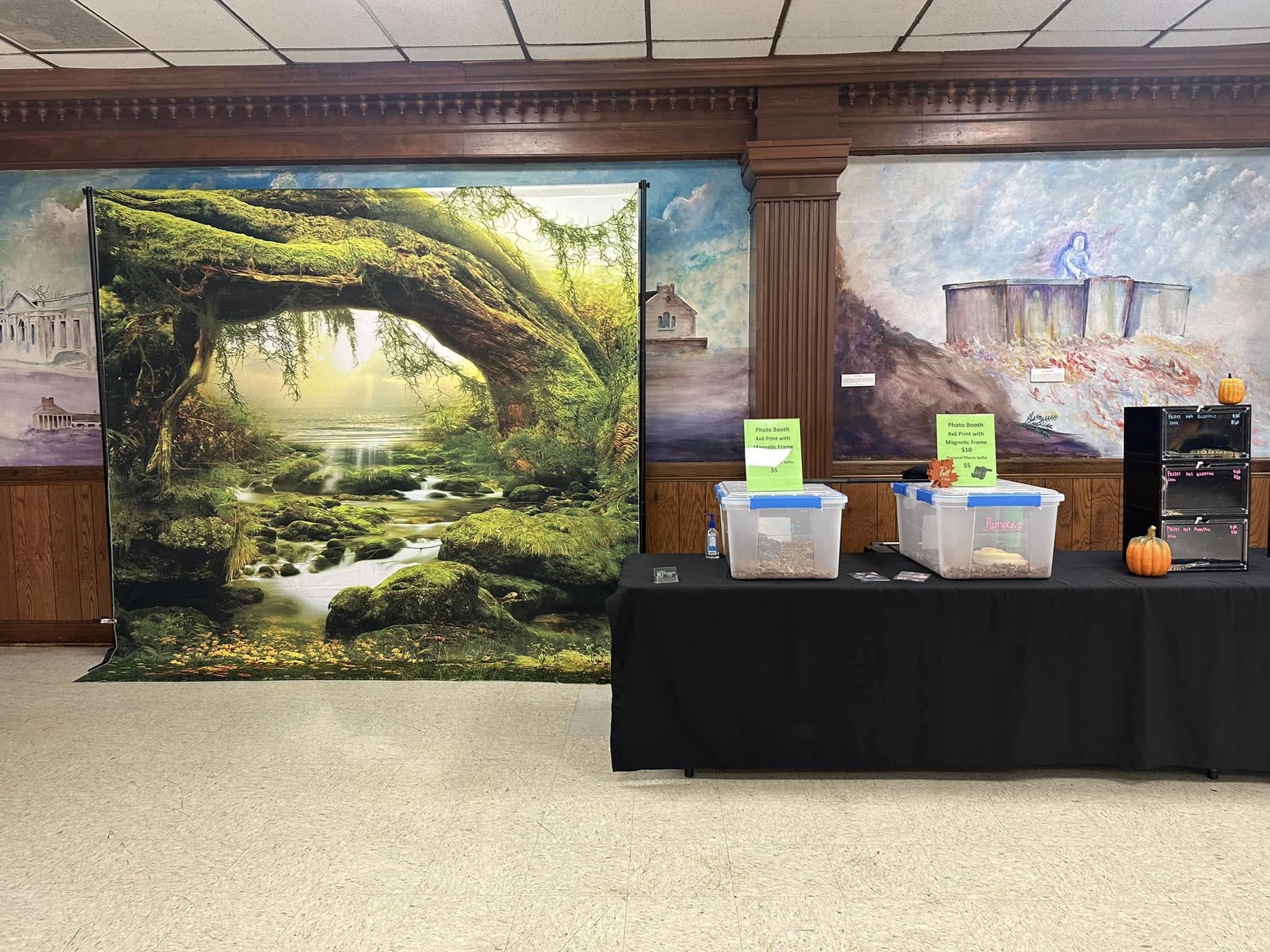 Big Tree Creek Forest Photography Backdrop UK F-165