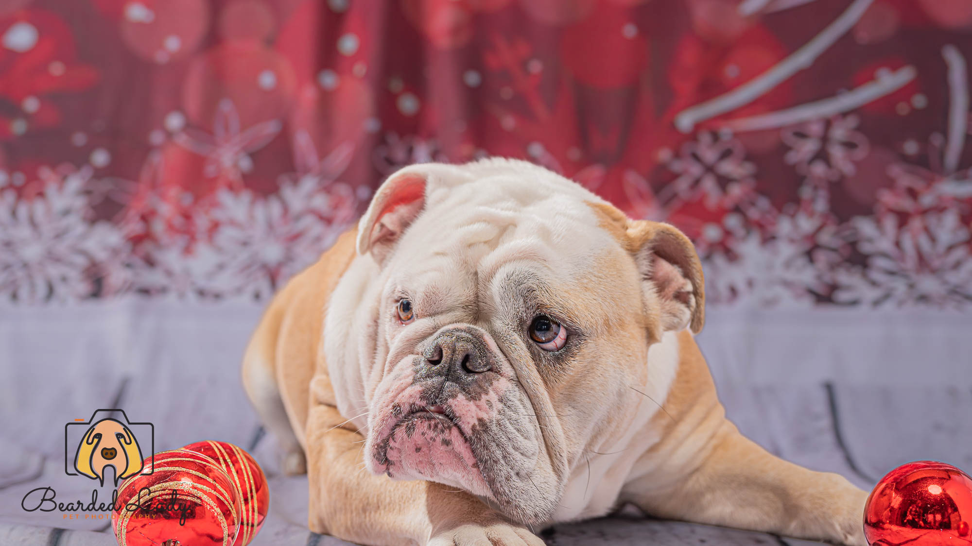 Christmas Tree Snowflake Red Bokeh Backdrop UK for Photography L-858