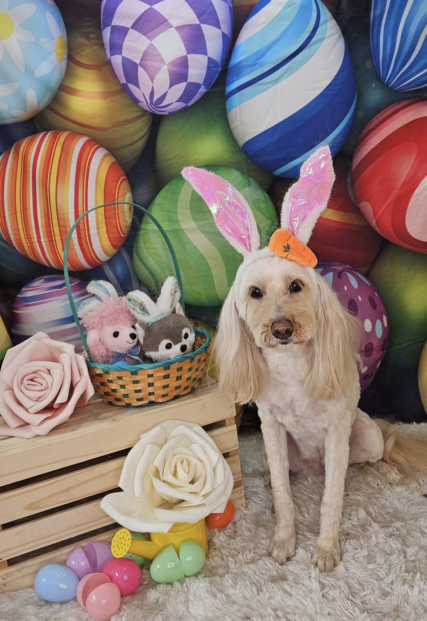 Colorful Easter Eggs backdrop UK for Photography SH032