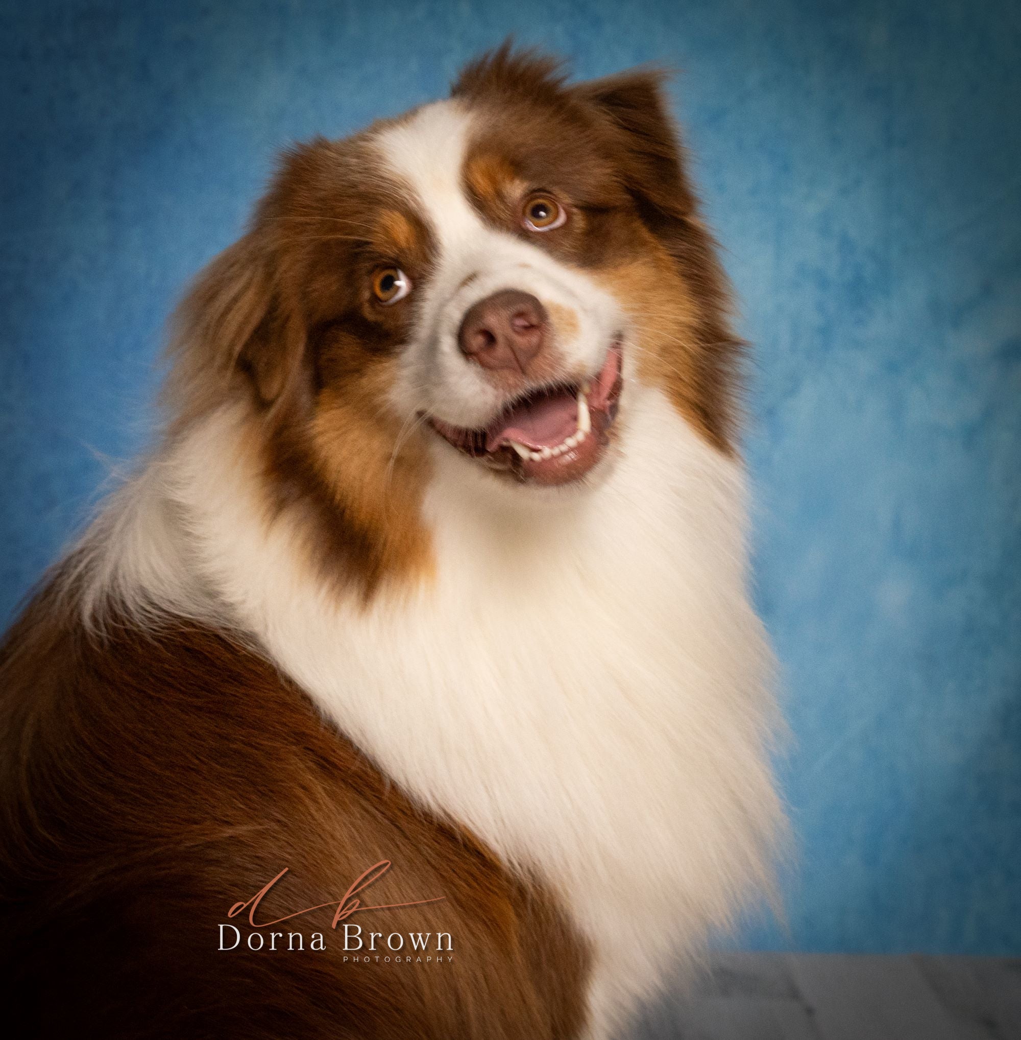 Abstract Blue Gradient Texture Photography backdrop UK DBD-19464