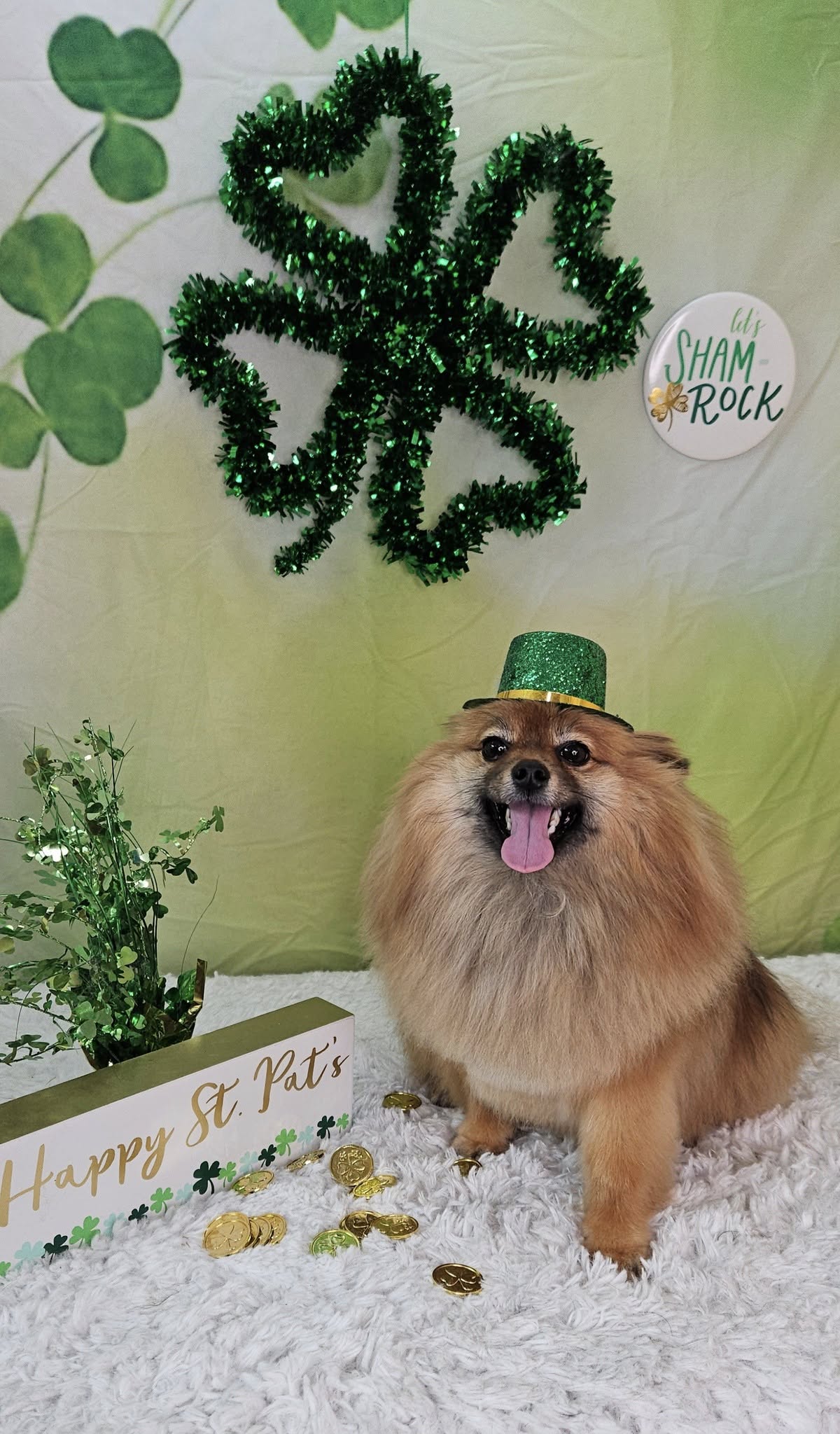 Green Happy St. Patrick's Day Photo Booth Backdrop UK SH163