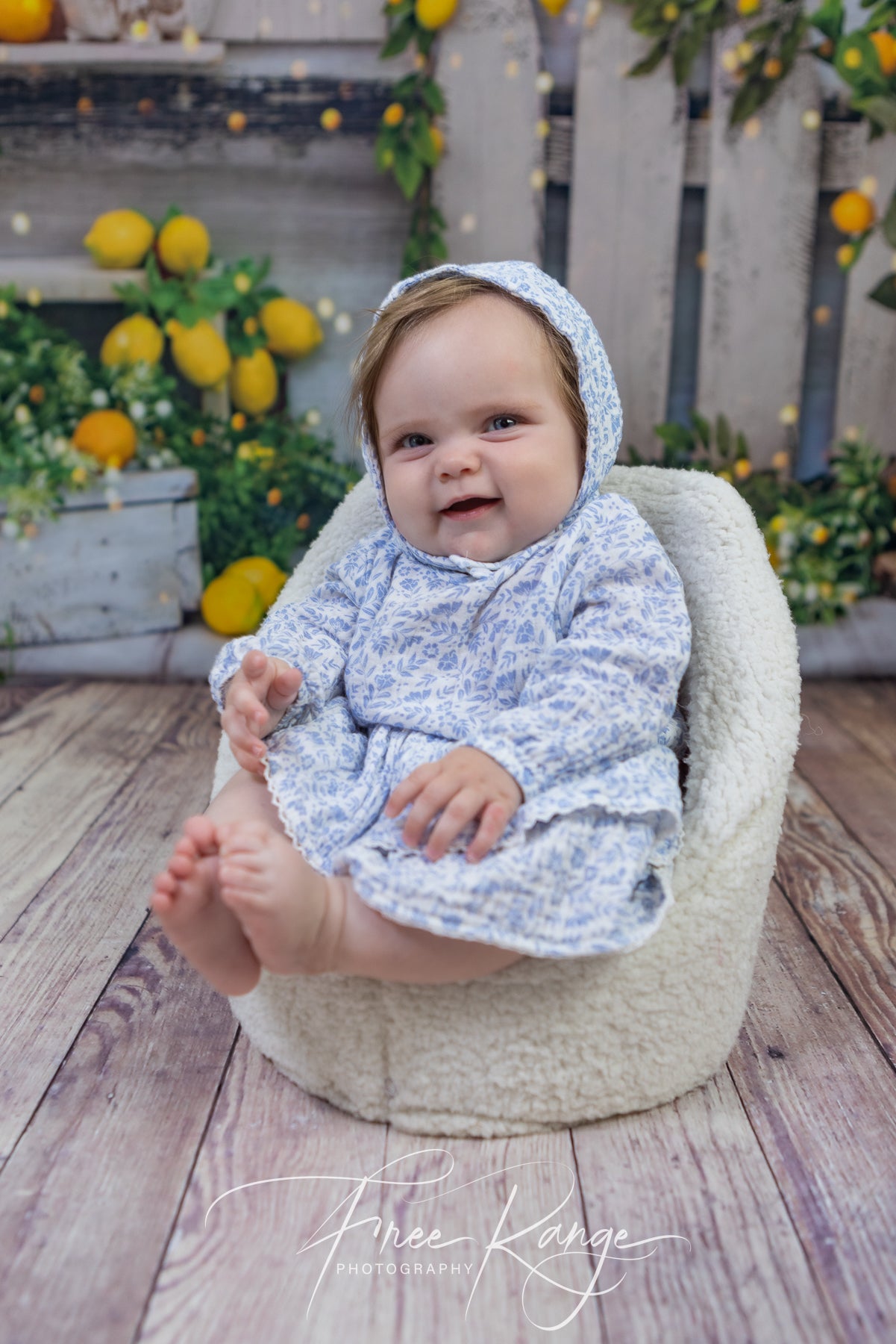 Spring Summer Lemon Tree Barn Backdrop UK D1061