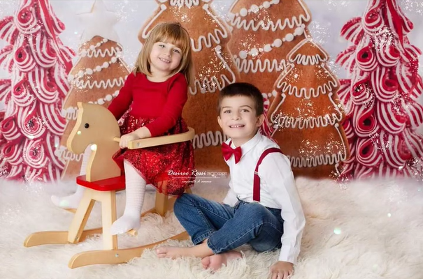Christmas Gingerbread Forest Photography Backdrop UK D913