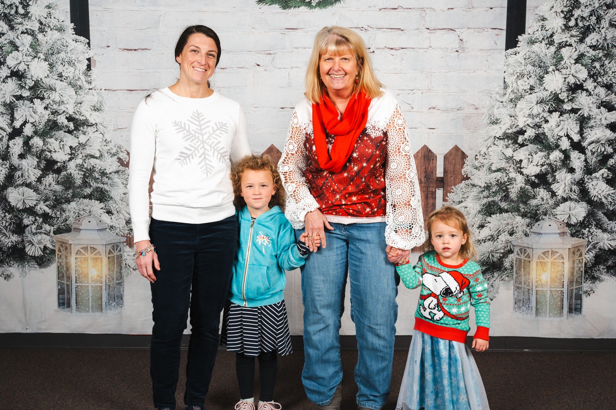 Chistmas Garden Lights Photo Shoot Backdrop D871