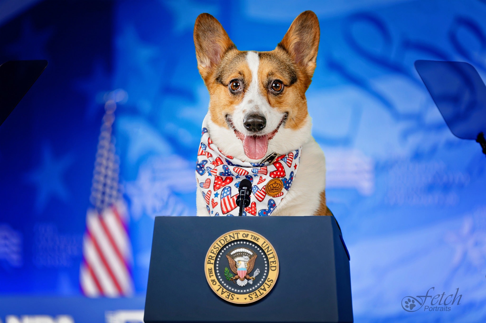 Blue Sky Clouds Backdrop for Photo Studio RI-7
