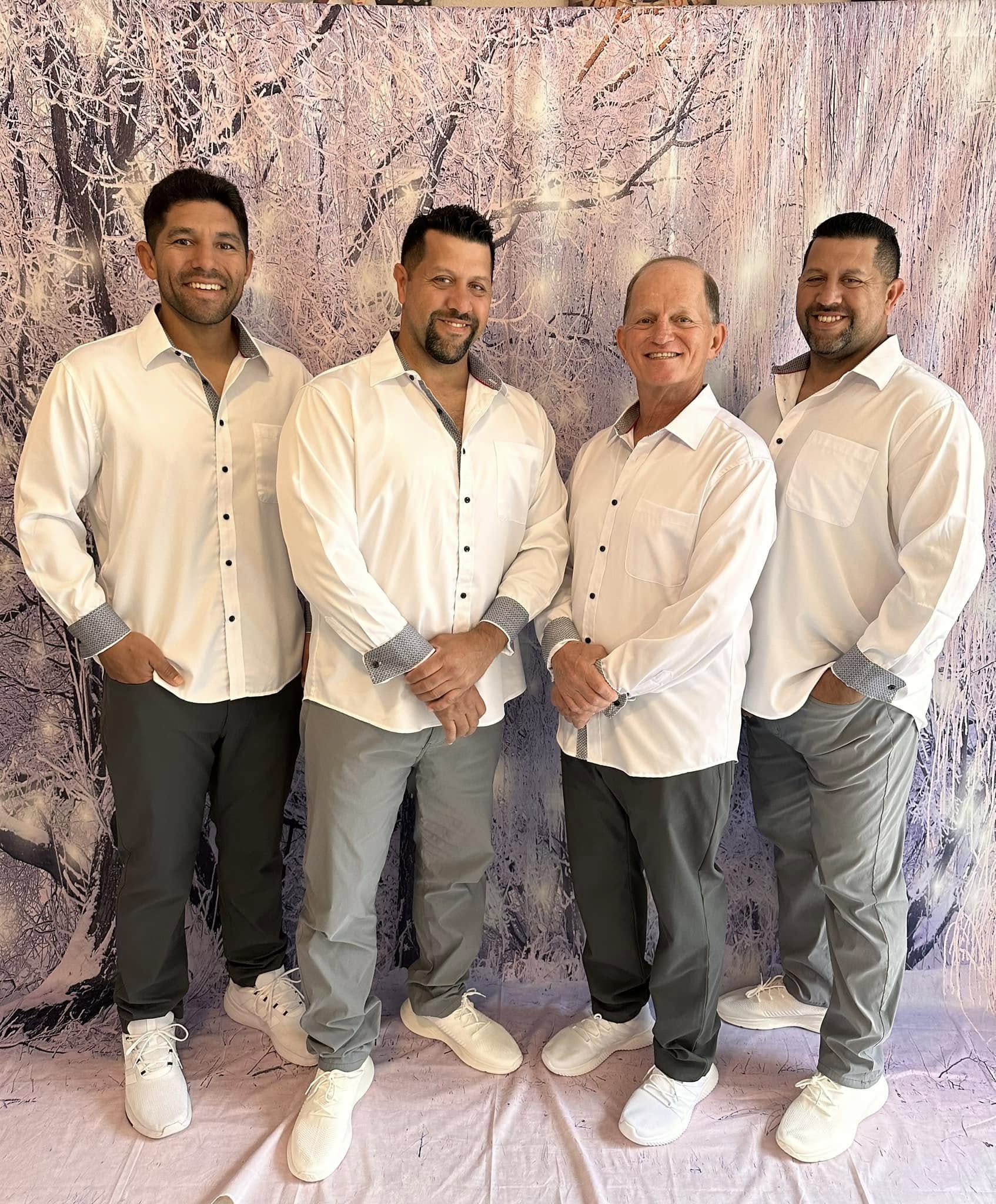 Xmas Snowflakes Winter Trees with hoarfrost Photo Studio backdrop uk GC-112