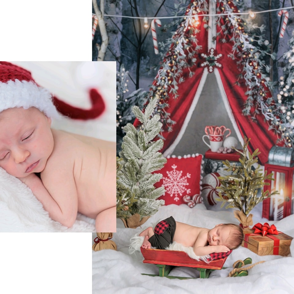 Snow Forest Backdrop Candy Cane Winter Tent Forest Backdrop UK MRR9-73