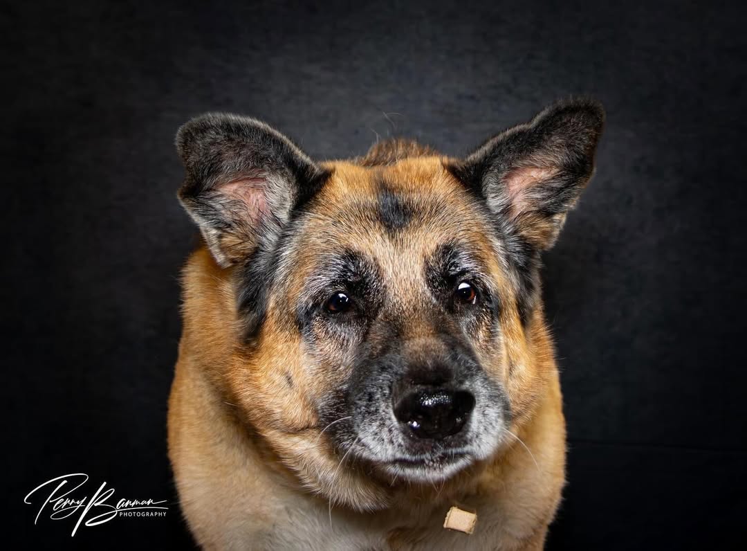 Dark Abstract Texture backdrop UK for Photographers D87