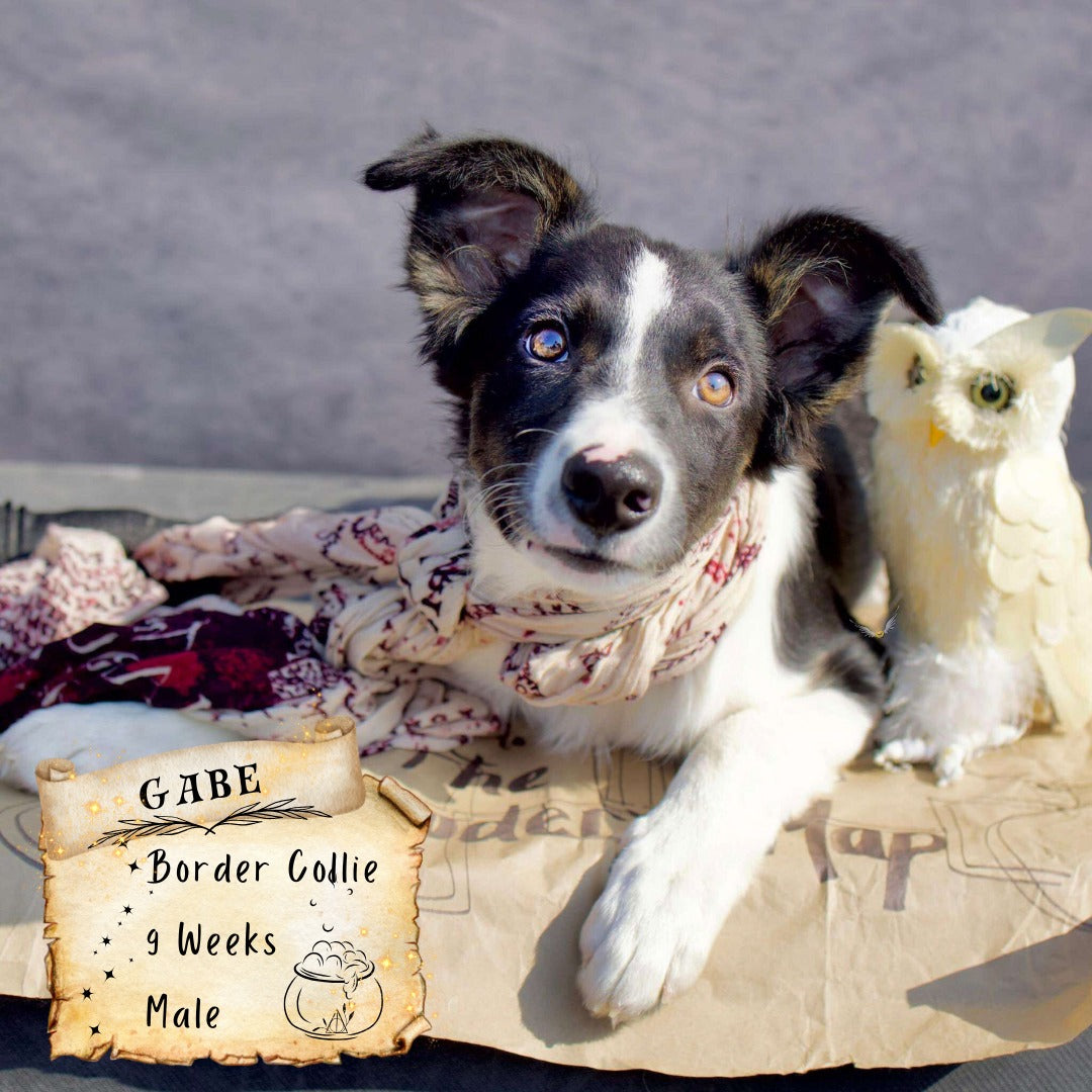 Gray Abstract Sweep Textured Photography Backdrop UK D345