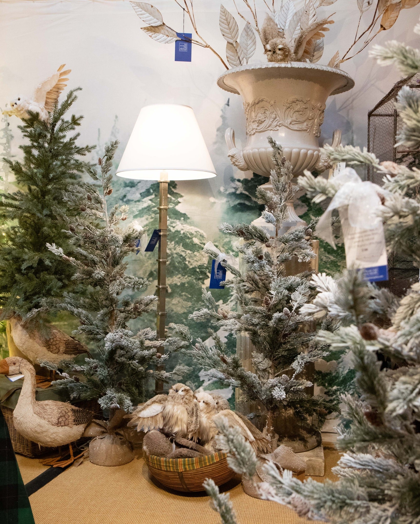 Winter Pine Trees Forest Snow Scenery Backdrop UK M7-43