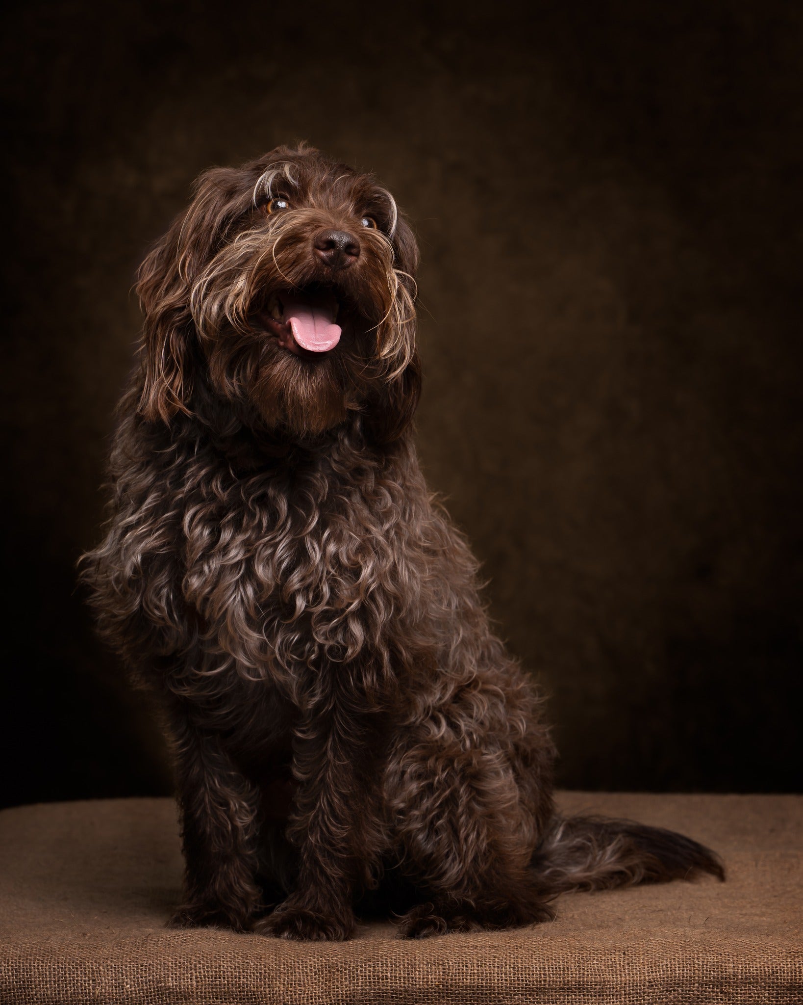 Vintage Brown Portrait Studio Abstract Backdrop UK M5-146