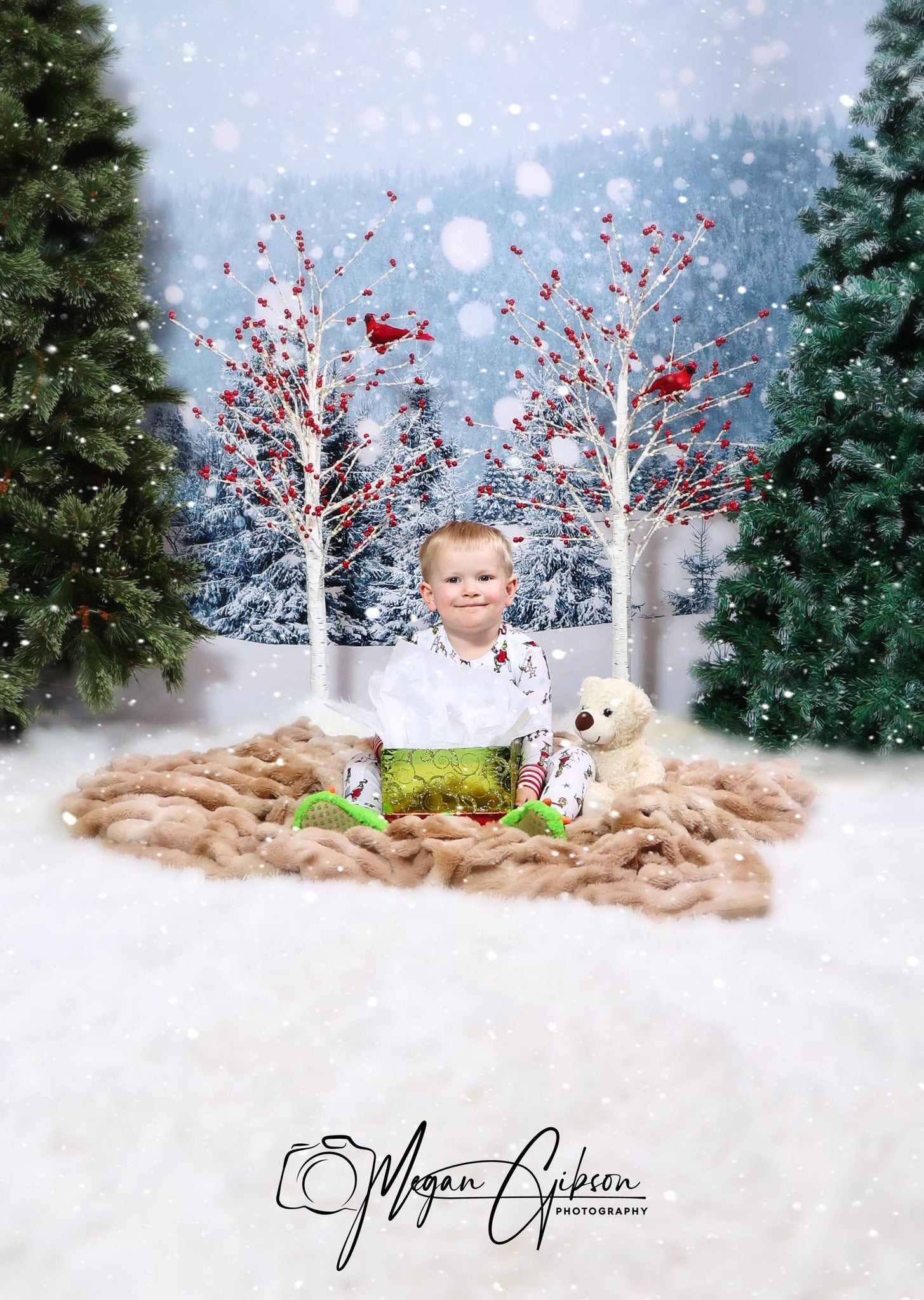 Gray Snow Scene backdrop UK for Christmas GX-1074