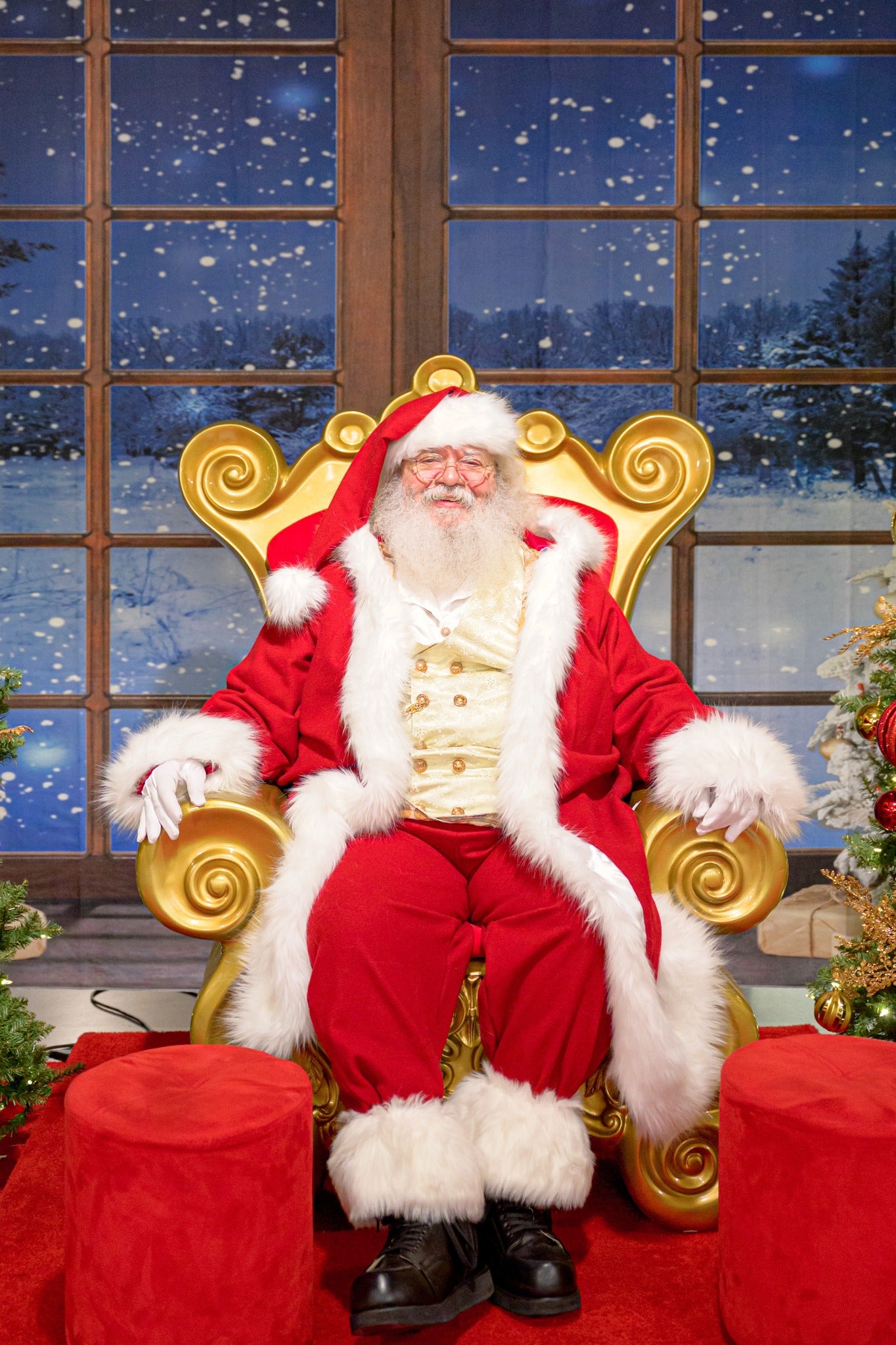 Christmas Winter Snow Window Backdrop for Photography D814