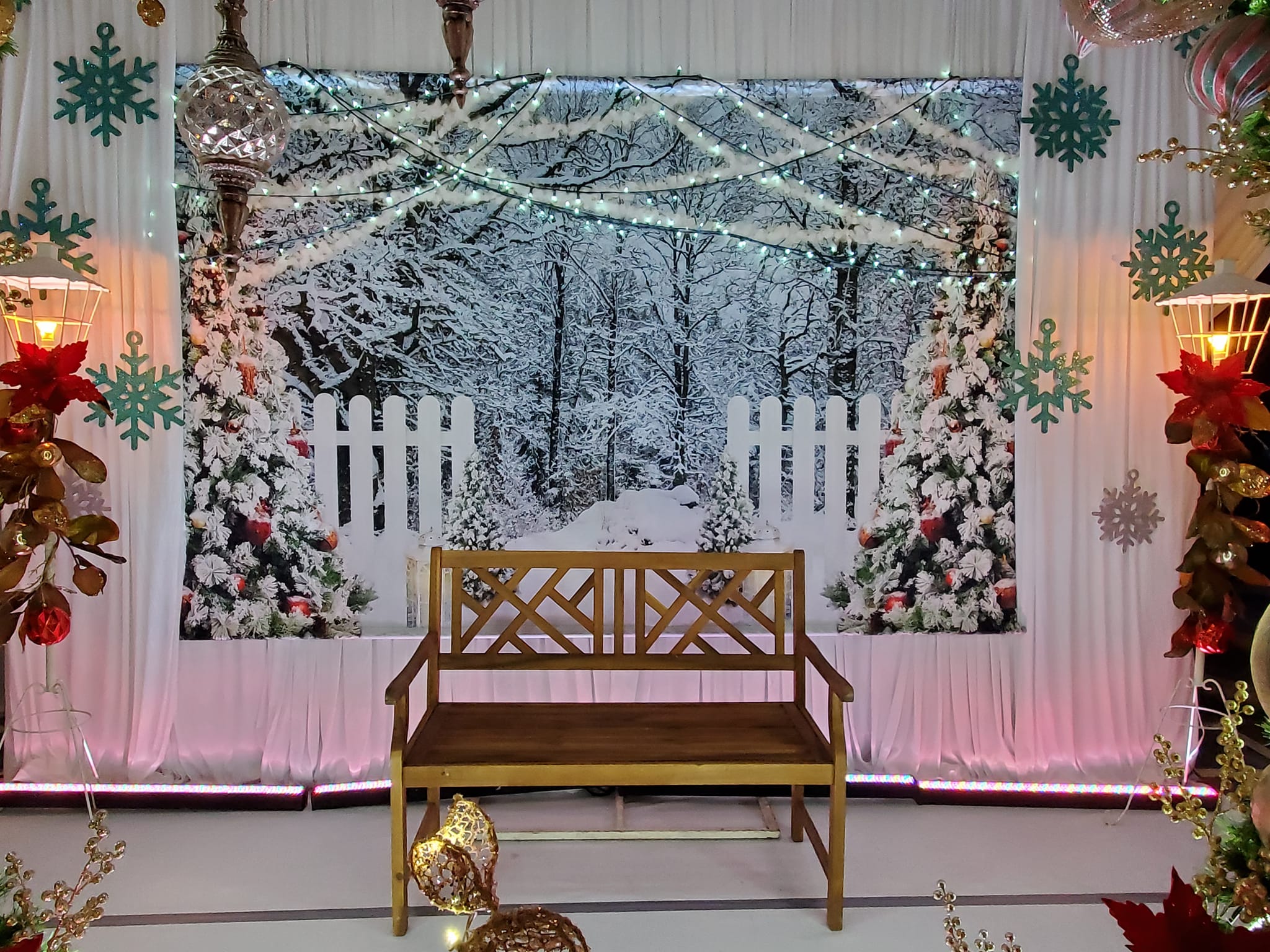 Frozen Forest Light Strings Christmas Backdrop D990