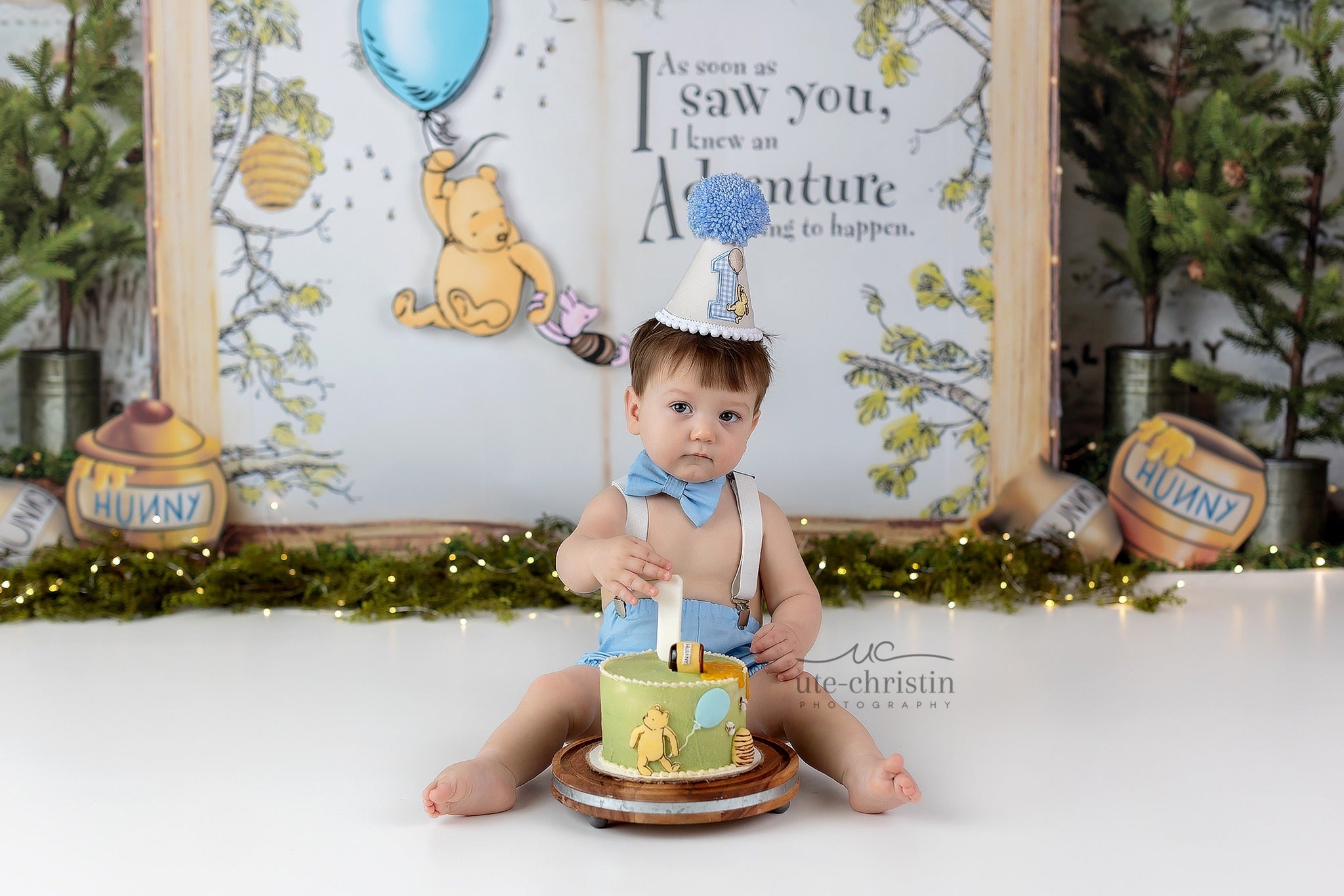 Cake Smash Backdrop Pooh Balloon Adventure Forest Quote 1st Birthday Backdrop UK MRR9-63