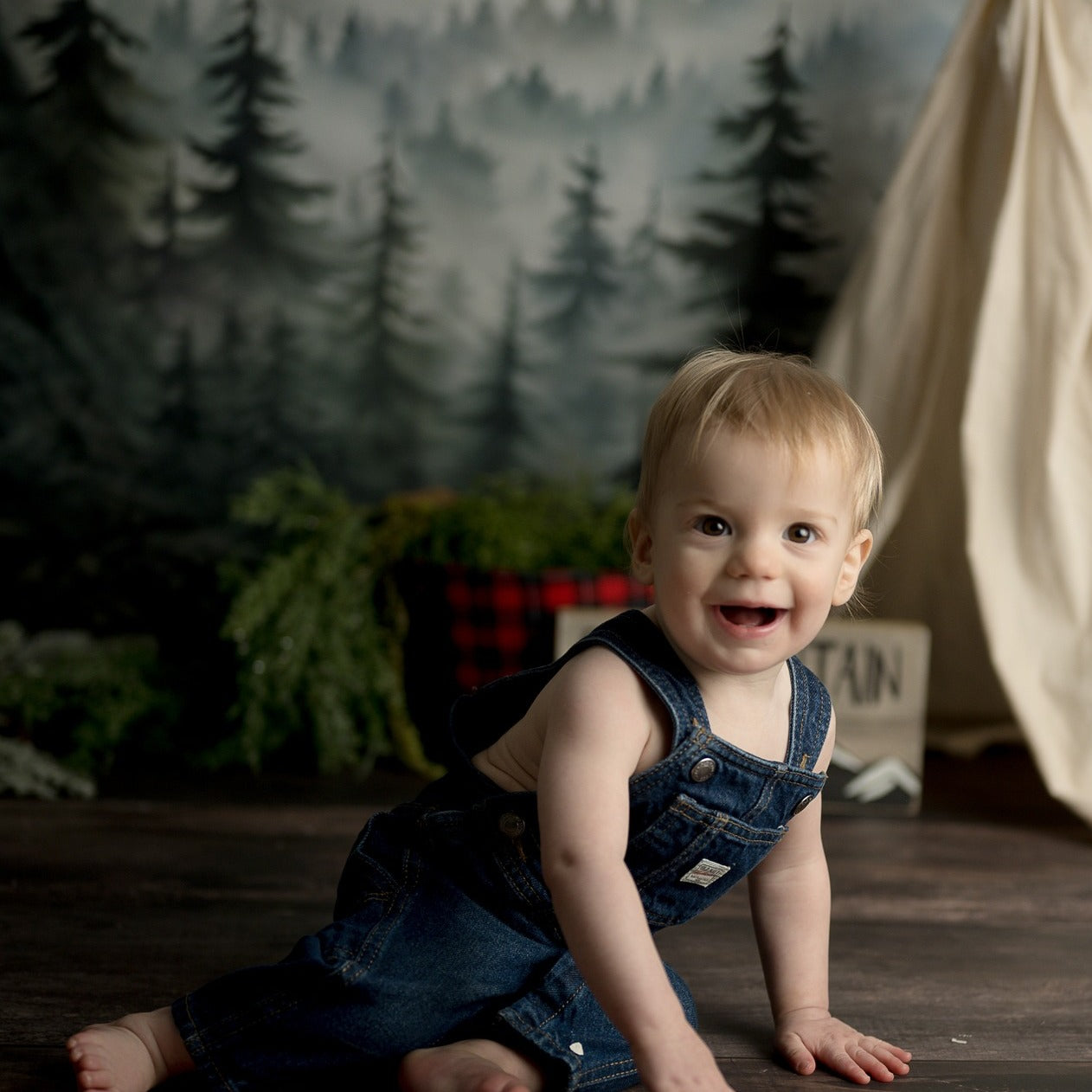 Forest Backdrop Forest Mountain Mist Layers Forest Photography Backdrop UK MRR9-74