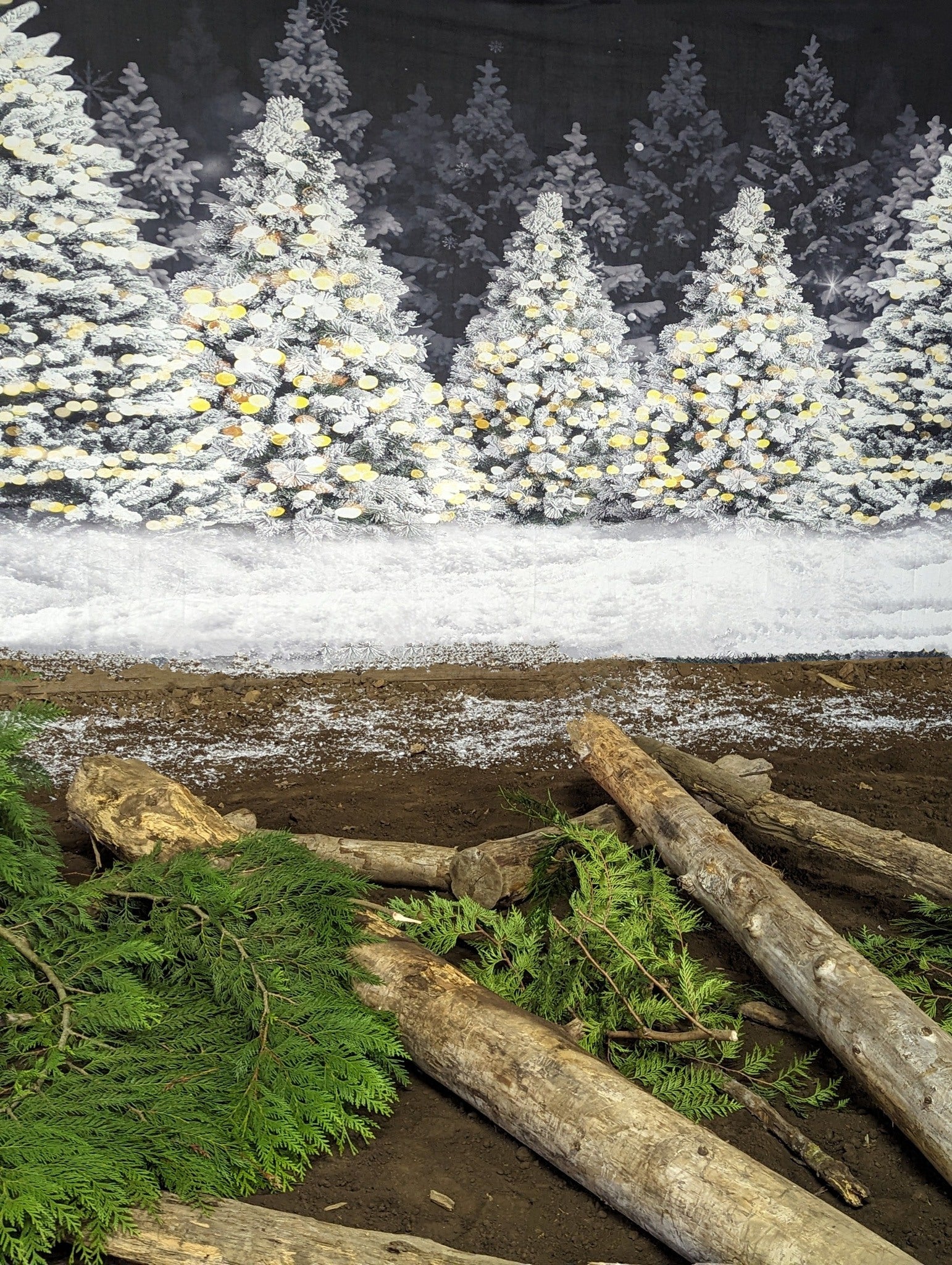 Christmas Night Forest Snow Photography Backdrop D893