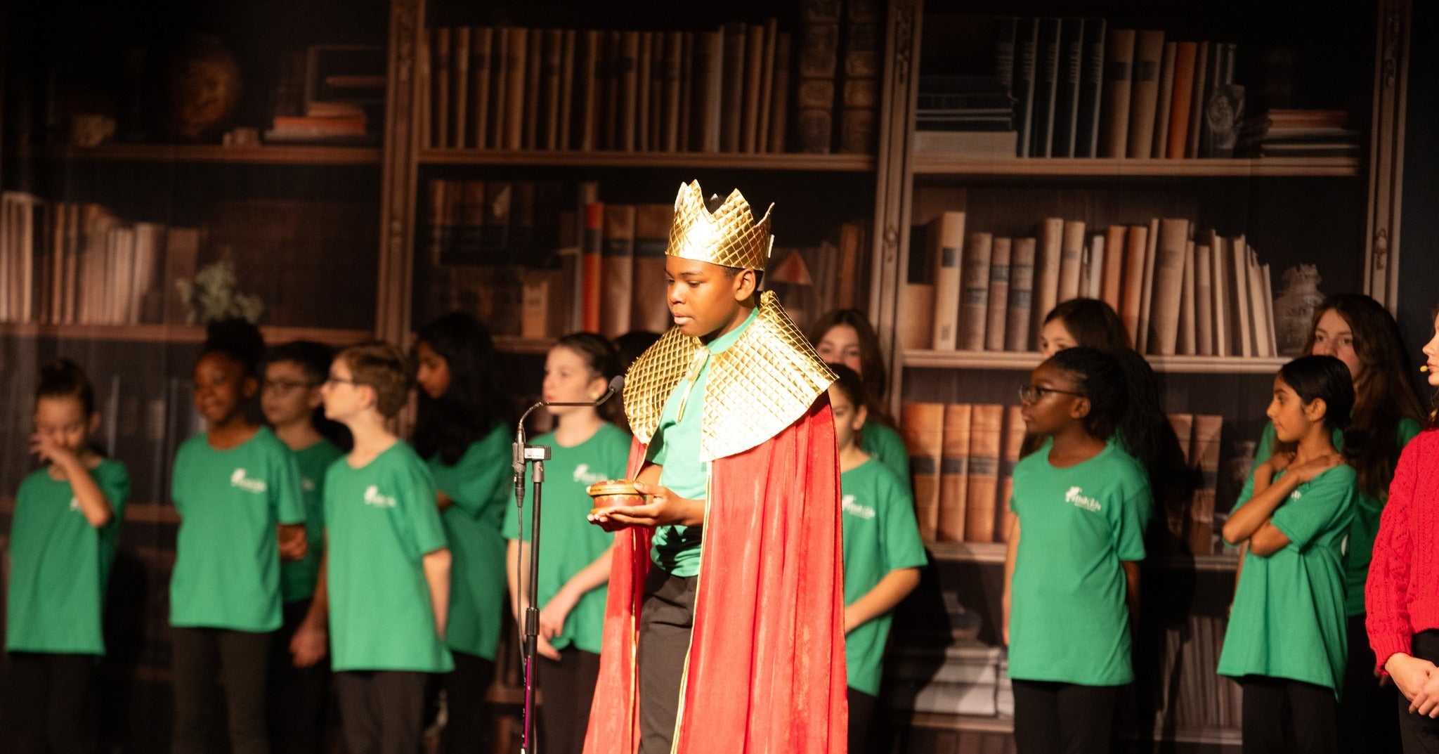 Vintage Bookshelf Back to School Backdrop UK DBD7-40