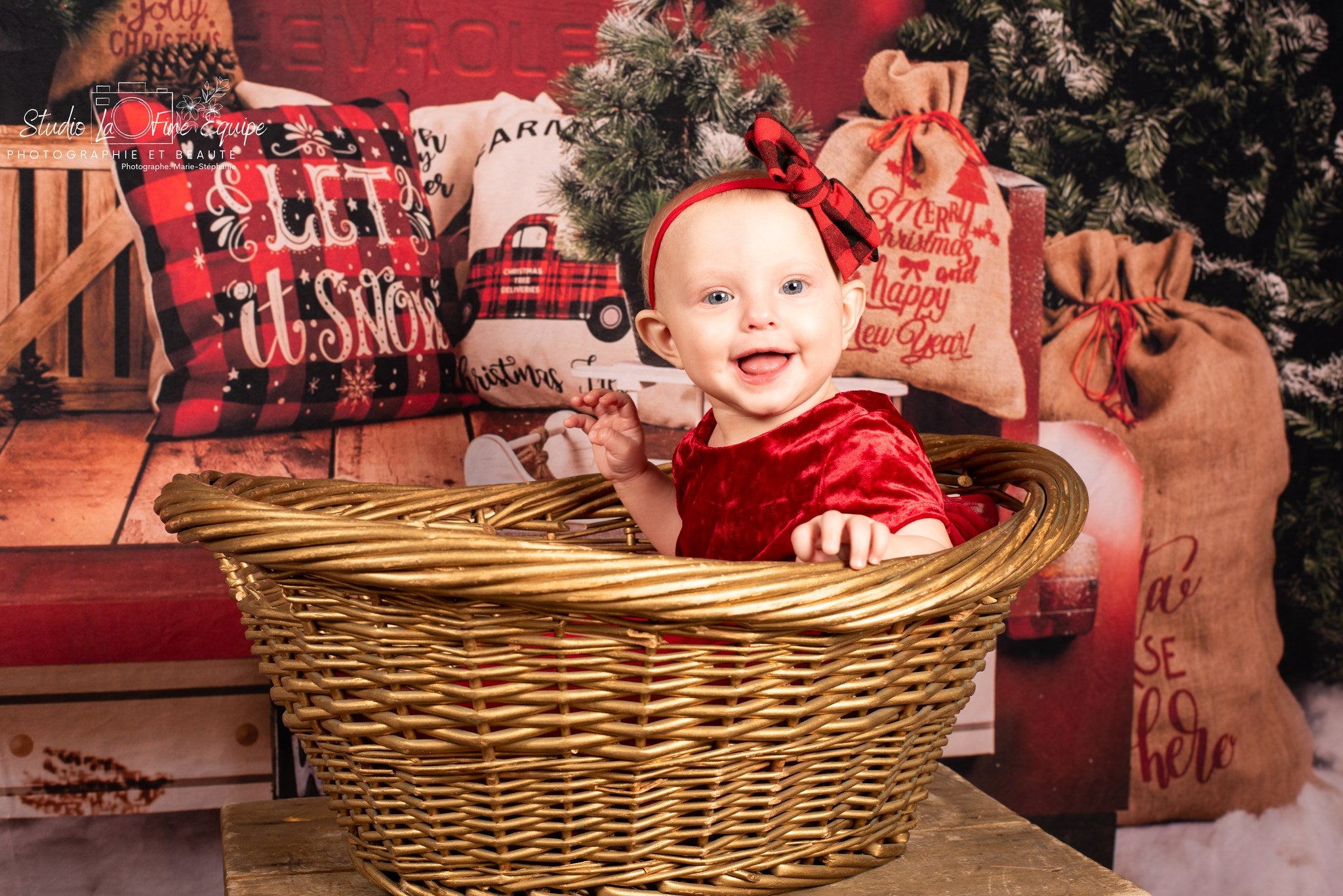 Red Car Christmas Tree Photography Backdrop SH-960