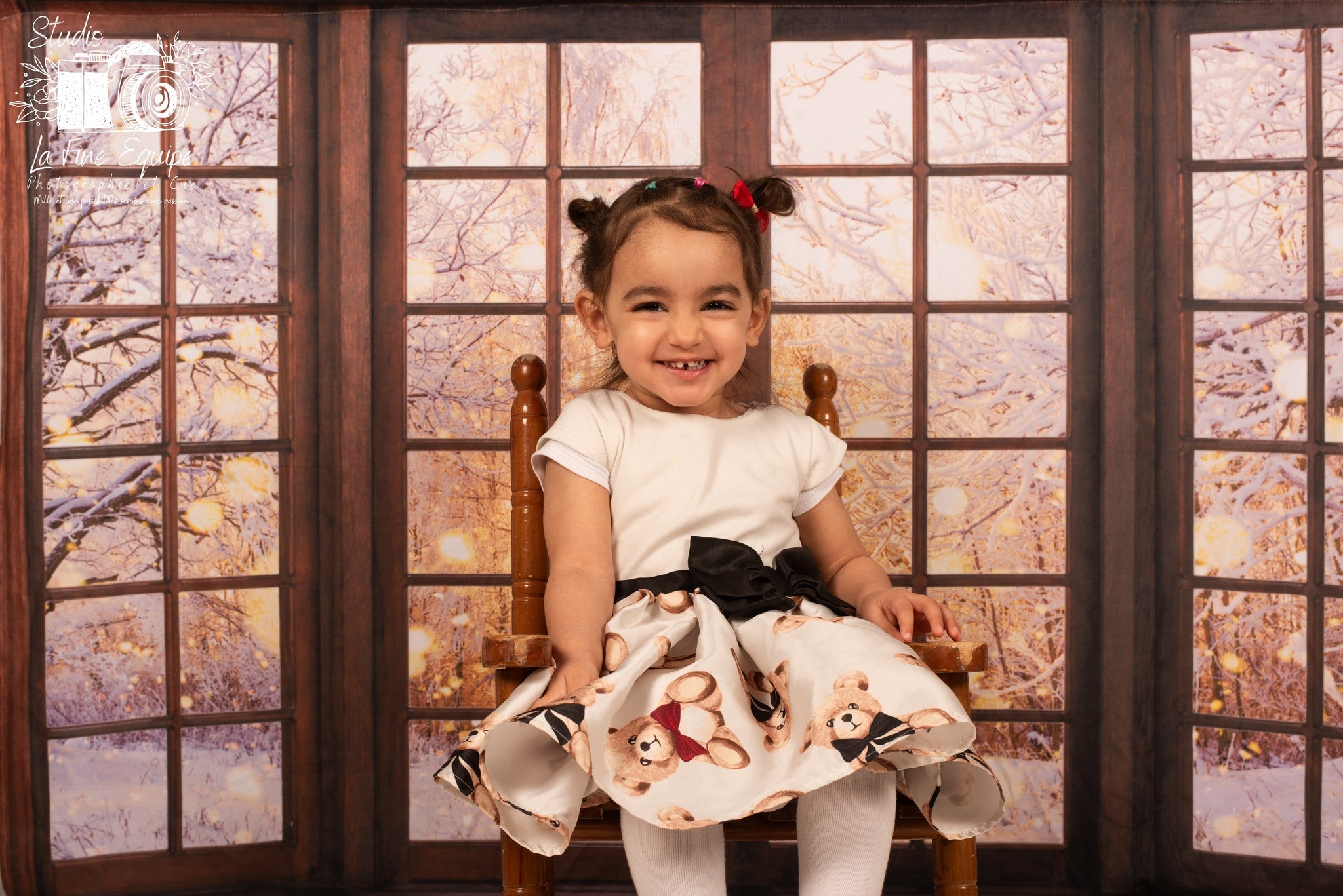 Winter Snow Scene Window Photography Backdrop D700