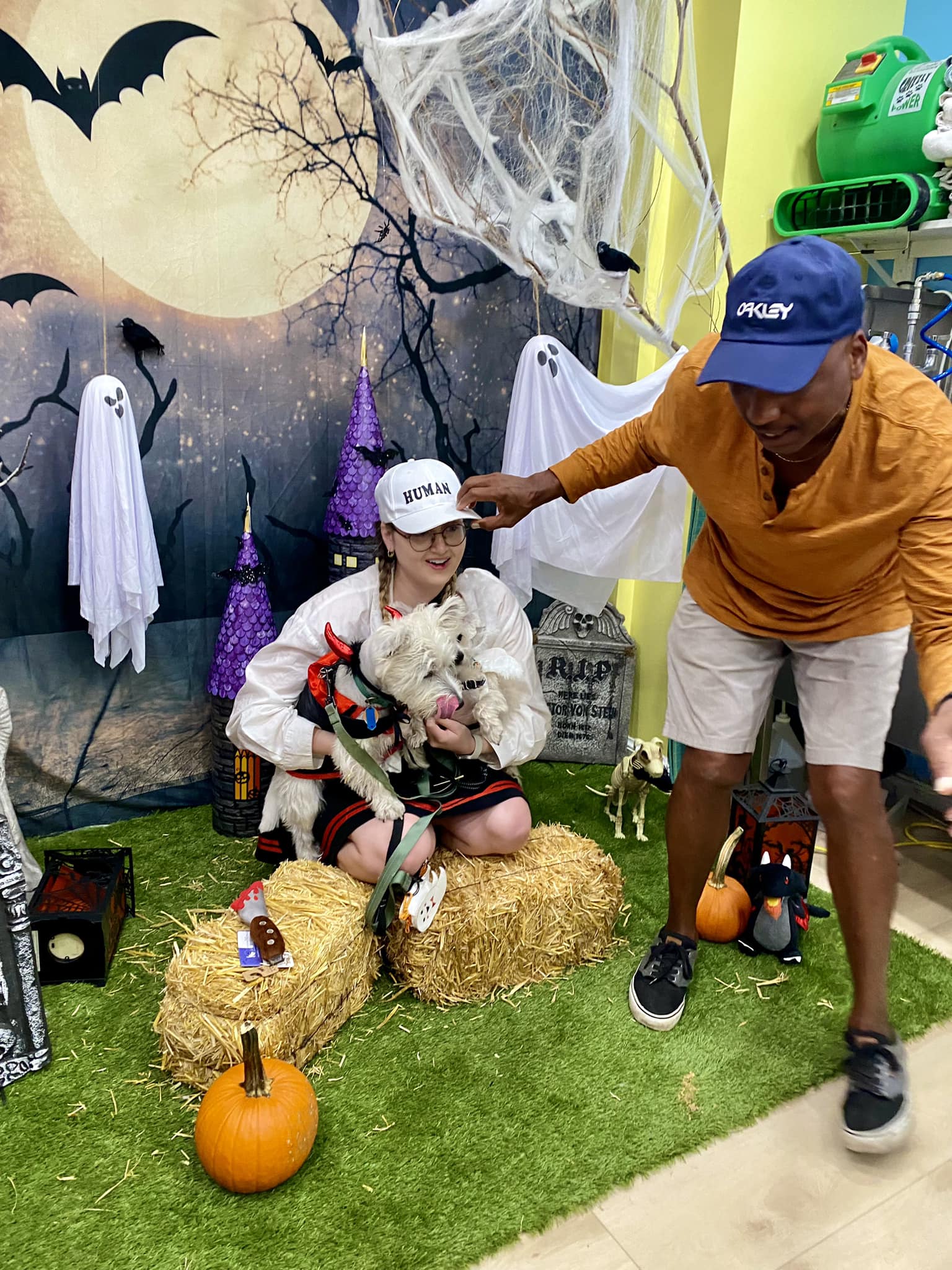 Halloween Backdrop UK Festival Backdrop UK Night Background Moon and Bats Background DBD-H19004