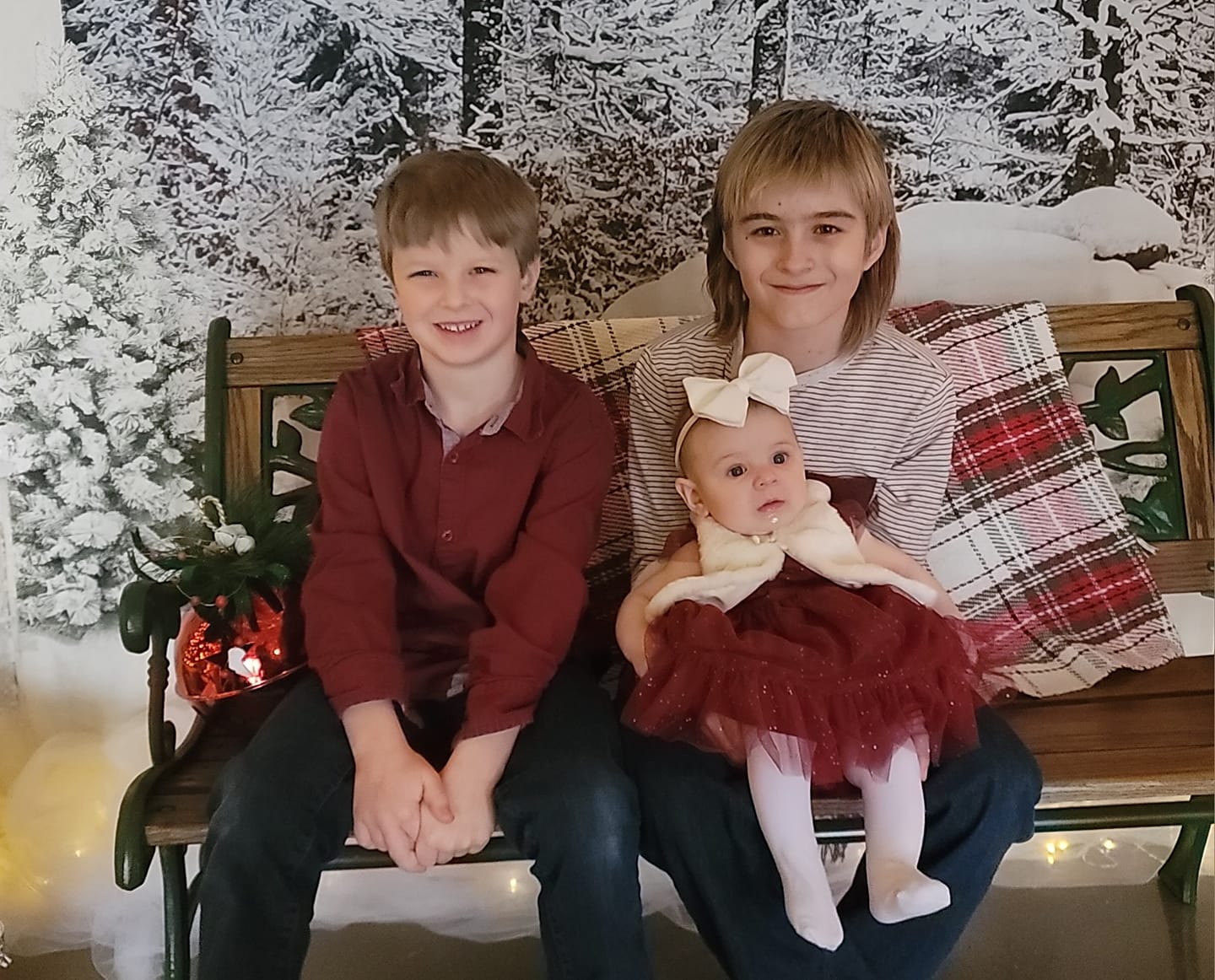 Frozen Forest Light Strings Christmas Backdrop D990