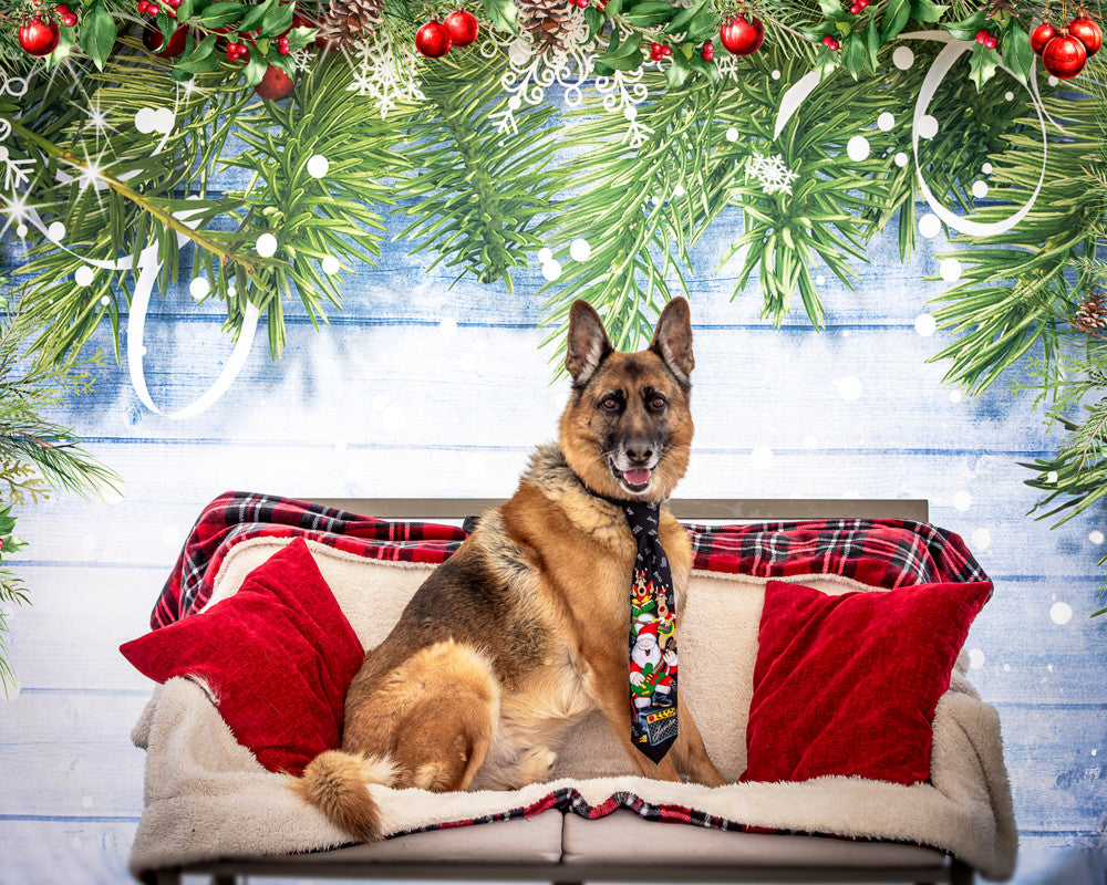 Christmas Snowflake Decoration Wood Wall backdrop UK for Photography G-519