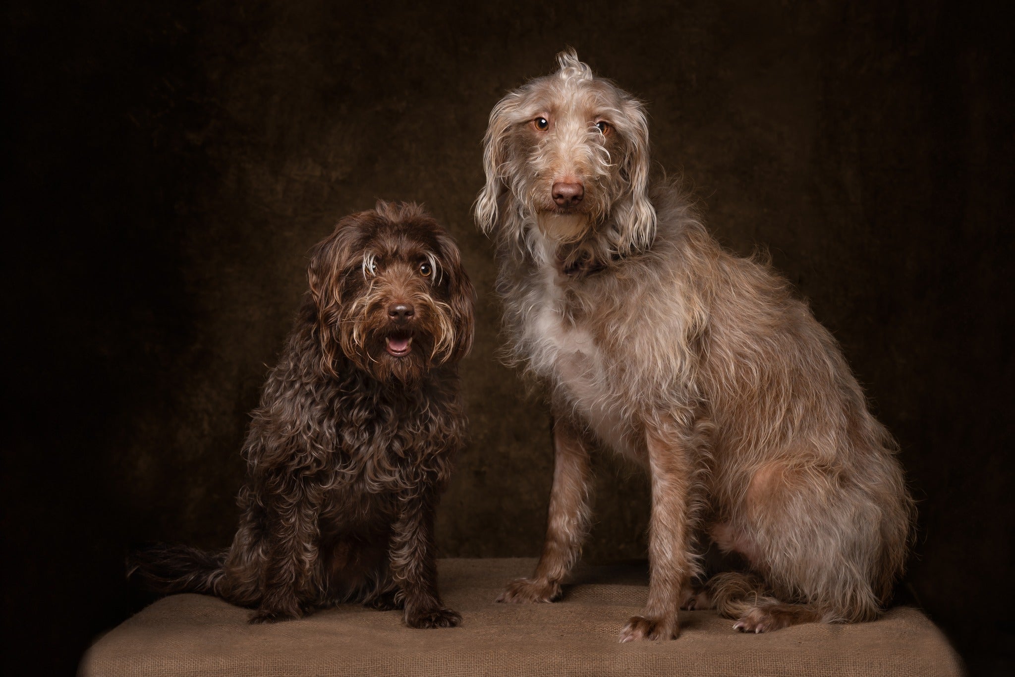 Vintage Brown Portrait Studio Abstract Backdrop UK M5-146