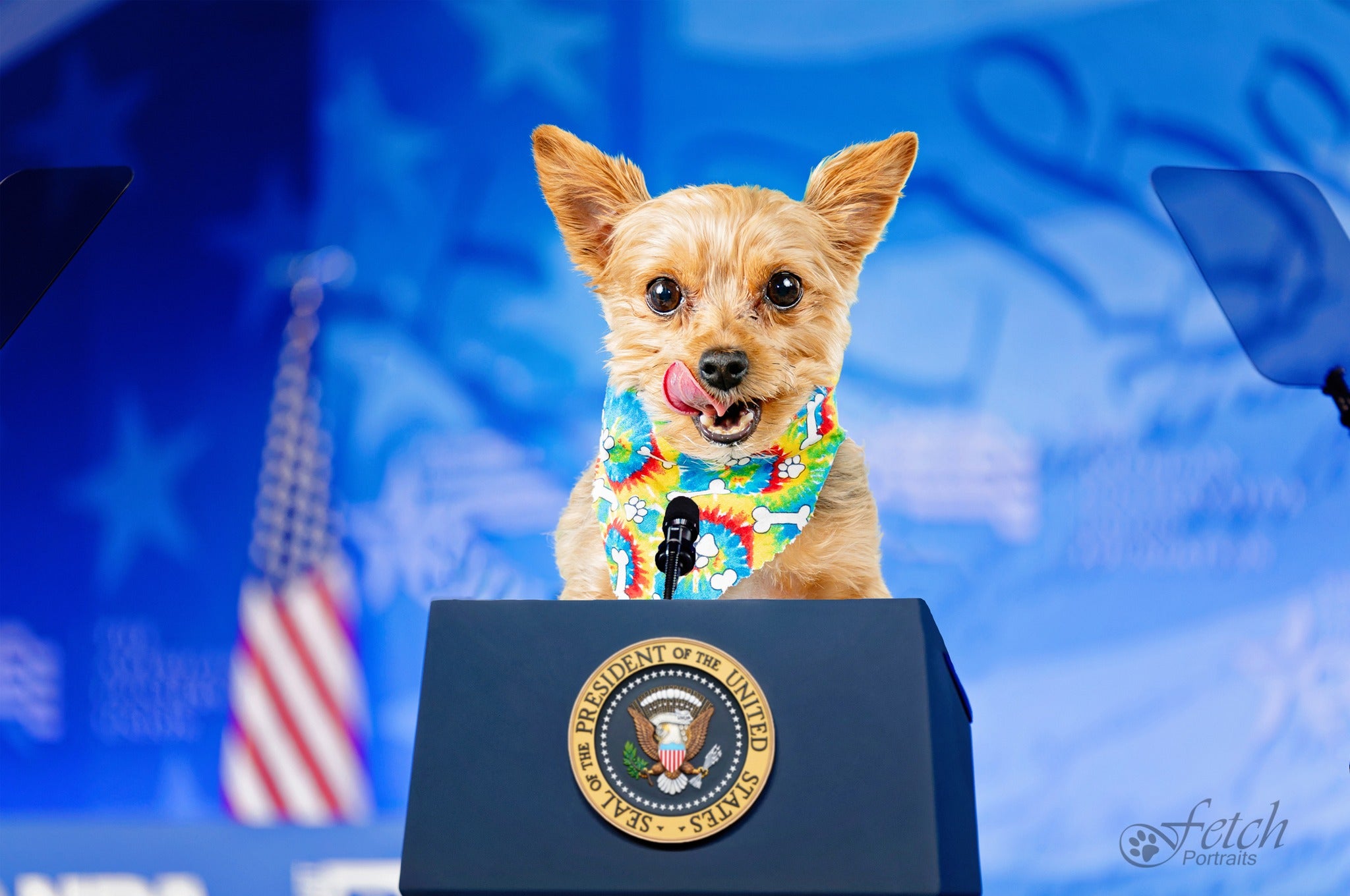 Blue Sky Clouds Backdrop for Photo Studio RI-7