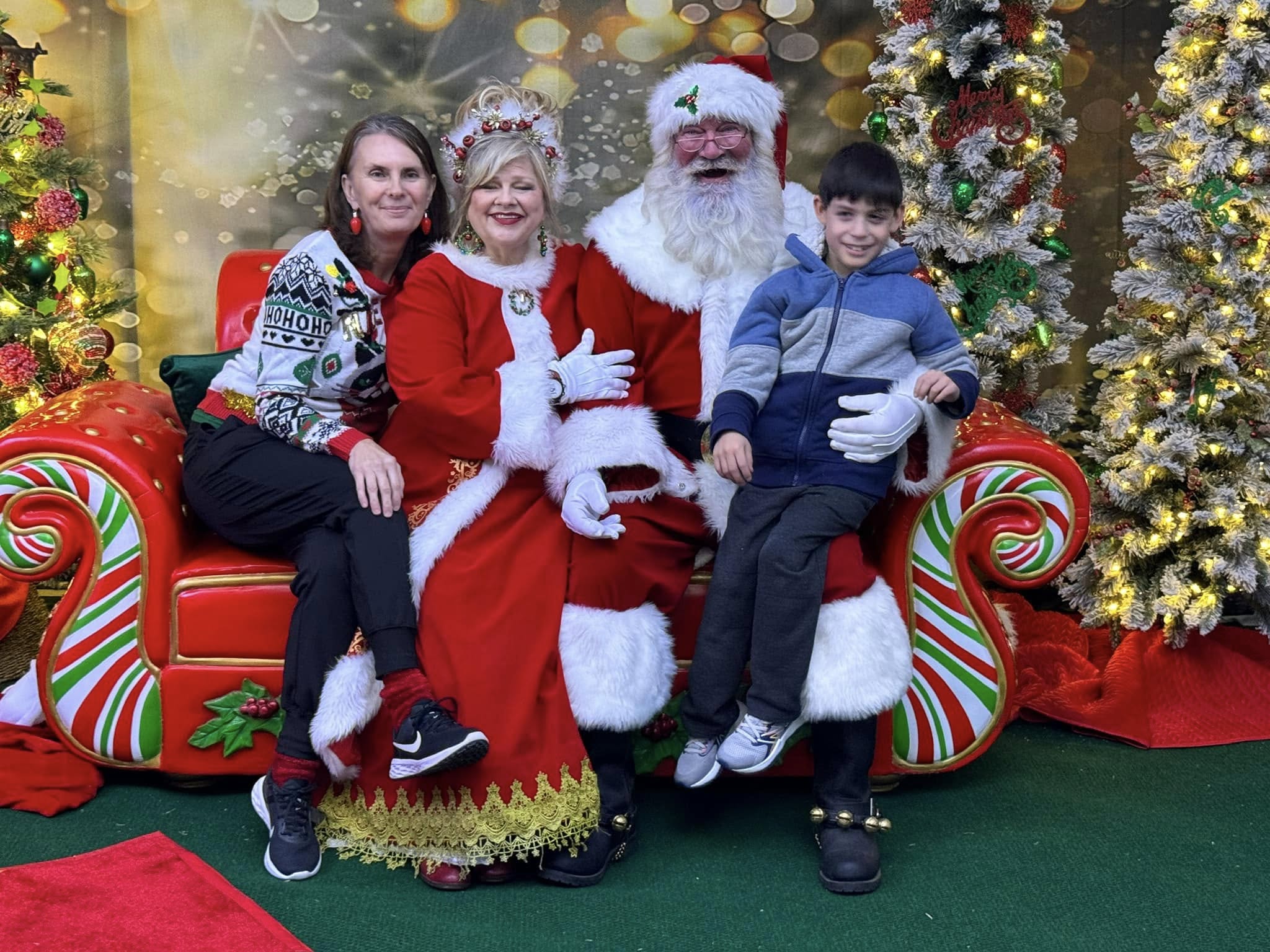 Outdoor Christmas Trees Lights Flashing backdrop UK G-1440