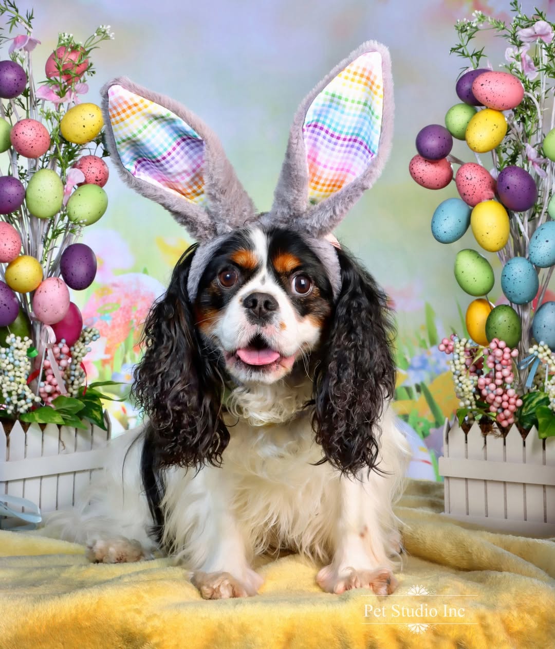 Easter Egg Grass Flowers Photography Backdrop D1049