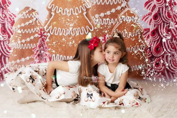 Christmas Gingerbread Forest Photography Backdrop UK D913