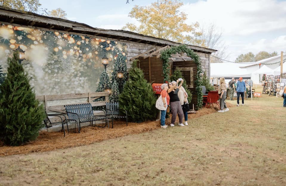 Outdoor Christmas Trees Lights Flashing backdrop UK G-1440