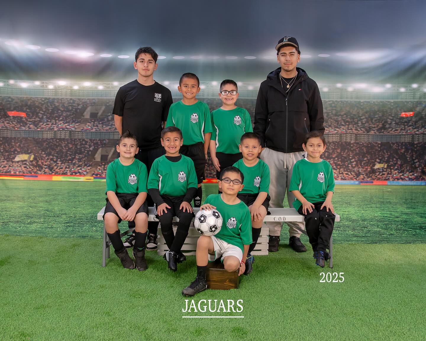 Football Field Green Lawn Lights Sport Photo Backdrop UK G-264