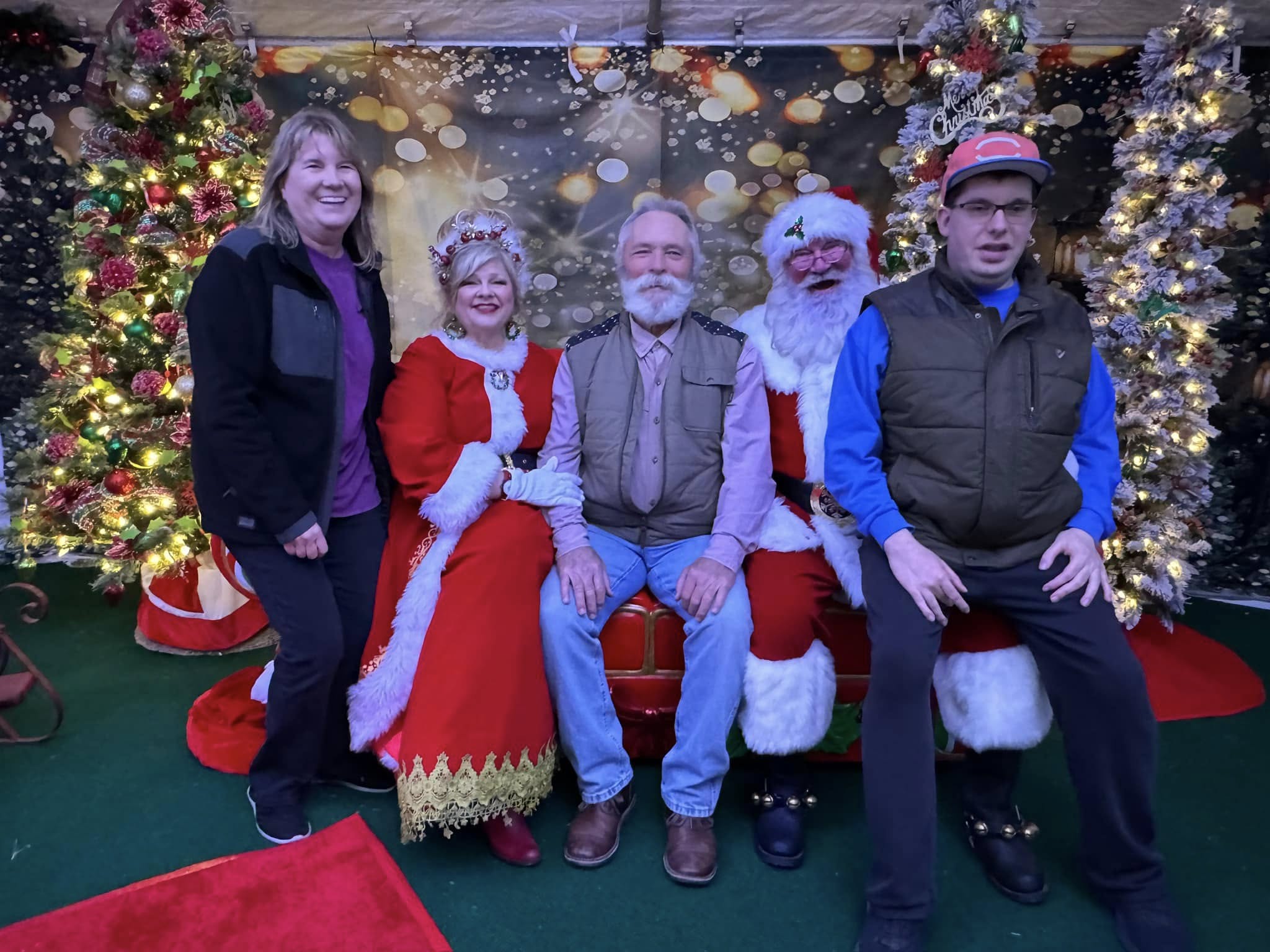 Outdoor Christmas Trees Lights Flashing backdrop UK G-1440