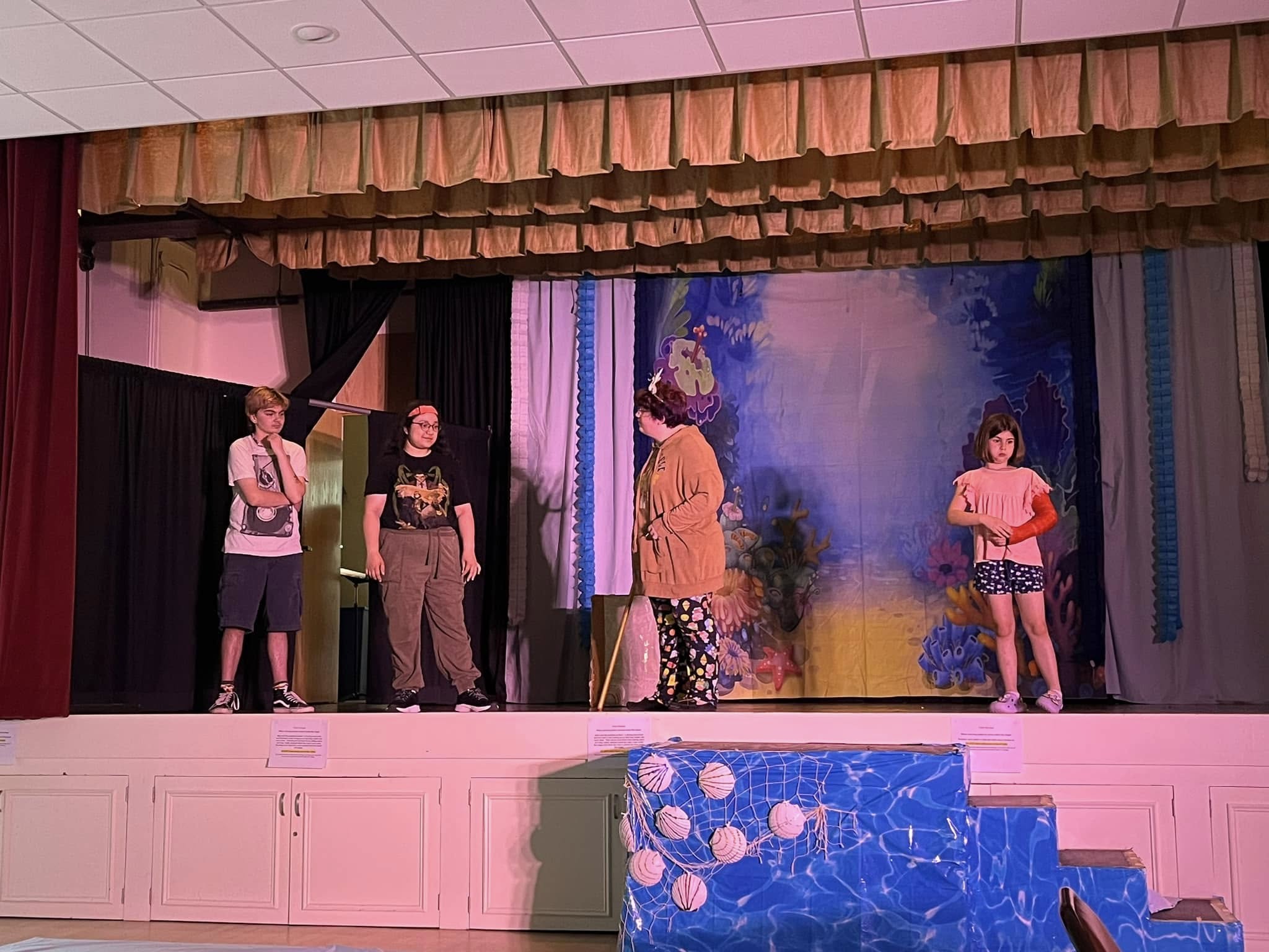 Under The Sea  Coral Ocean Baby Photo backdrop UK G-498