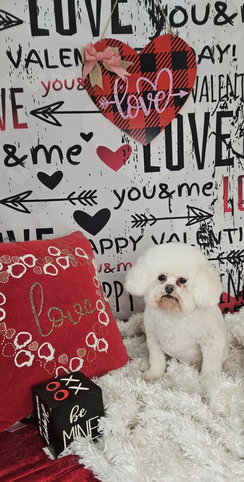 Valentine's Day Cupid's Arrow Romantic Text Graffiti Wall Wood Floor Backdrop M12-19