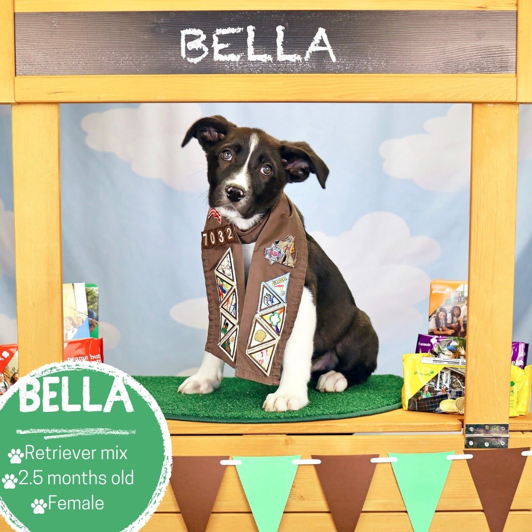 Blue Sky White Clouds Cartoon Backdrop for Kids Photography lv-1094