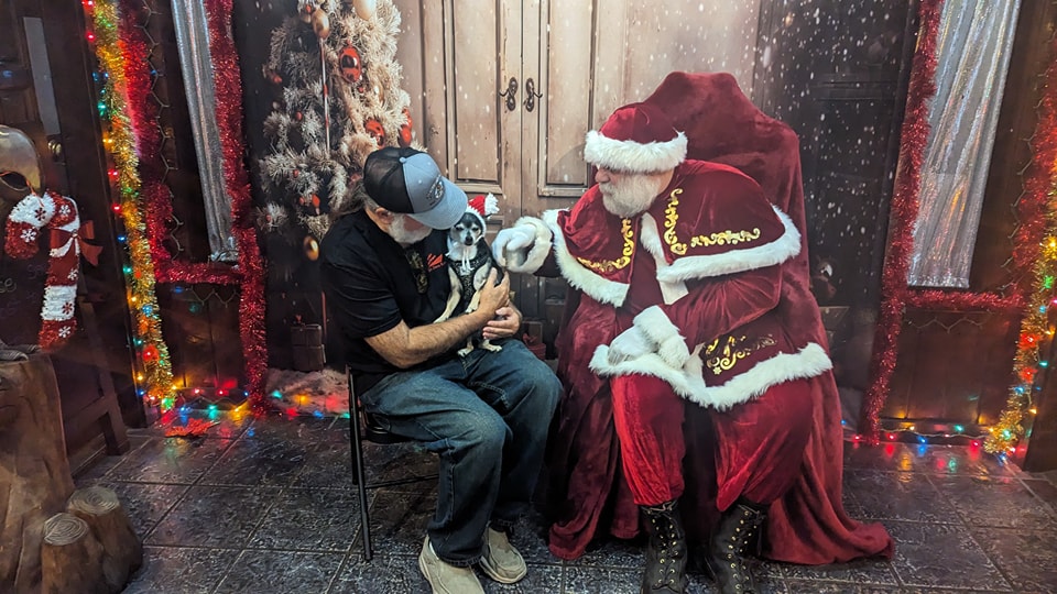 Snowflake Christmas Tree Presents Backdrop UK M10-53