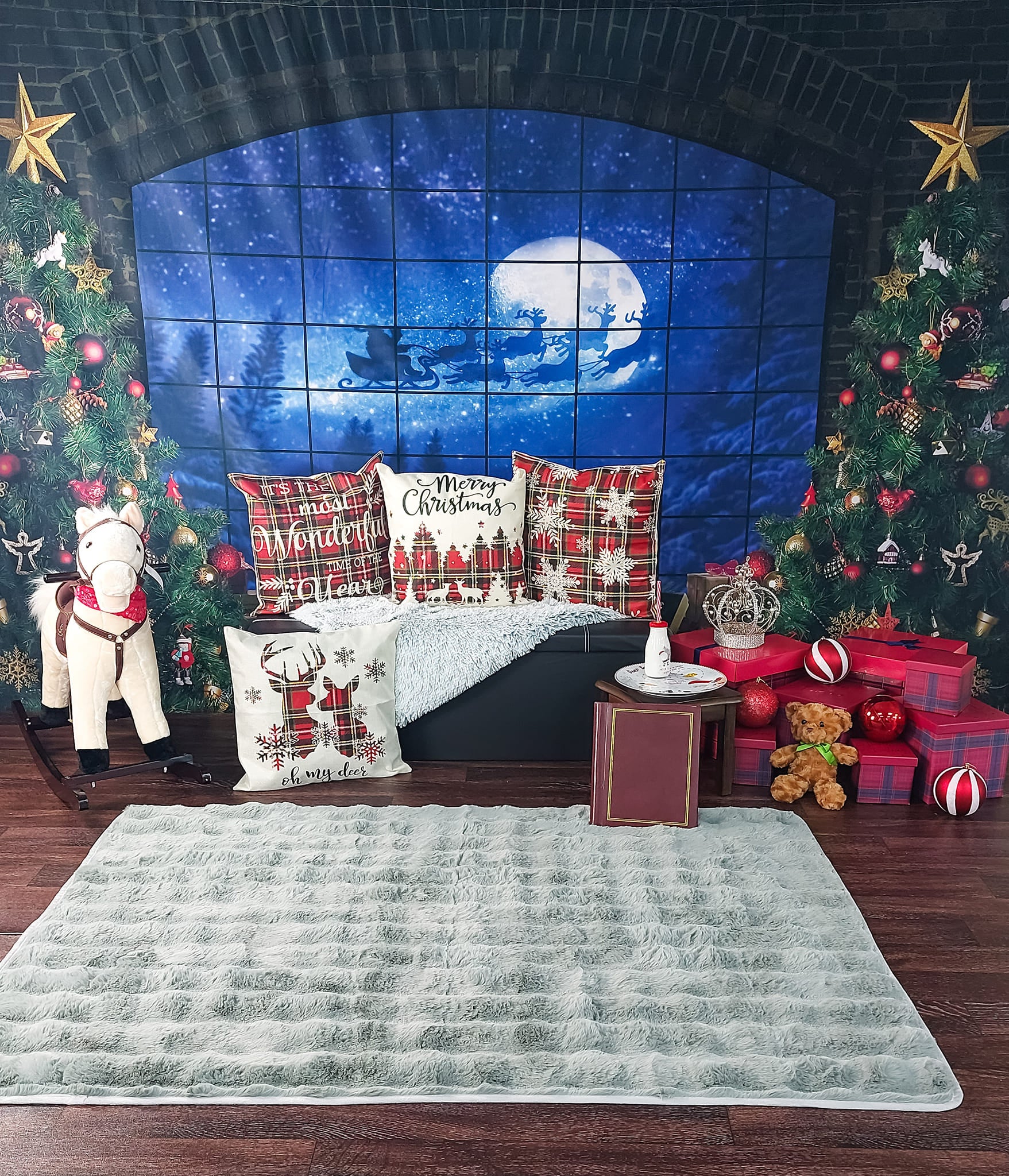 Christmas Tree Window Gifts Photography Backdrop D822