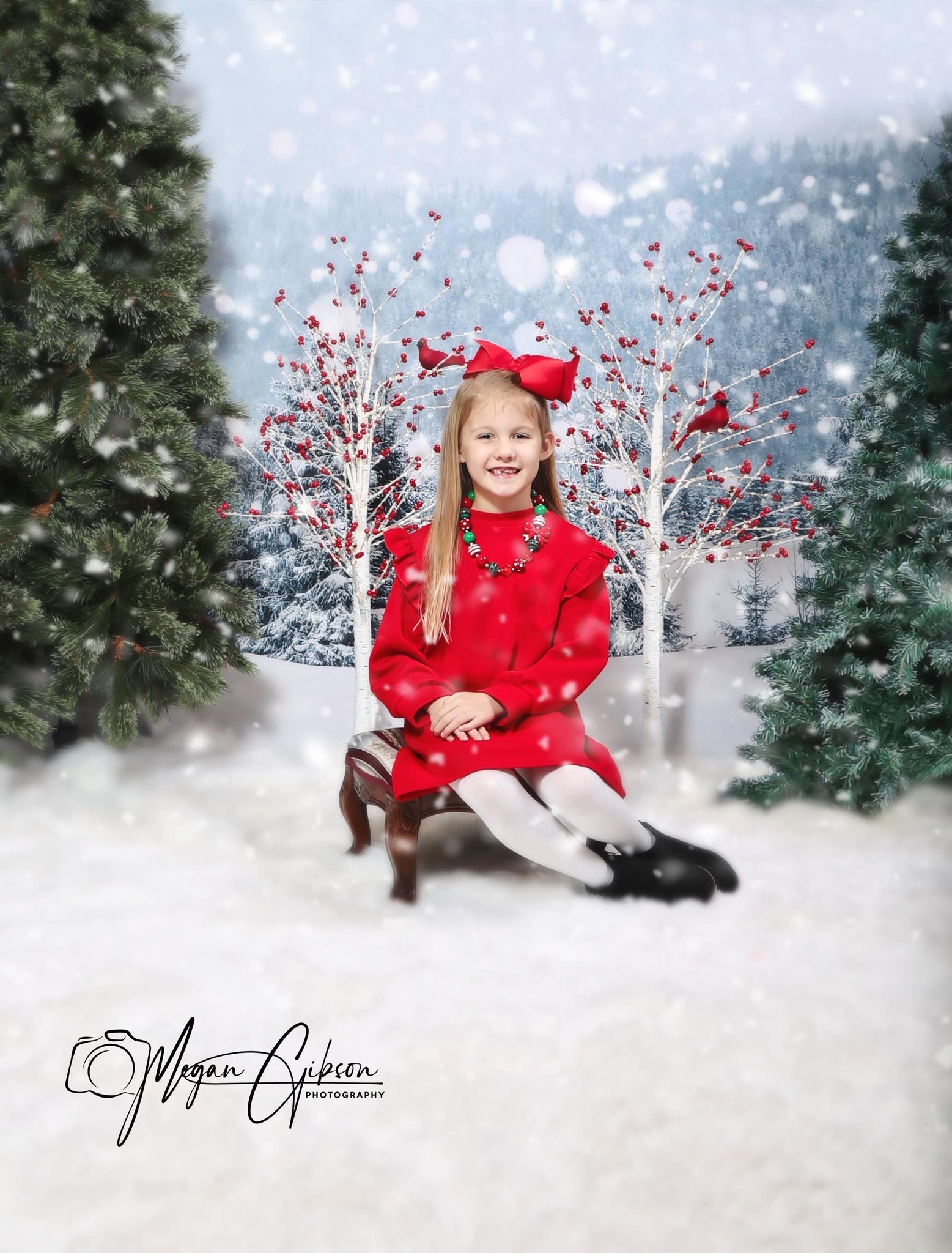 Gray Snow Scene backdrop UK for Christmas GX-1074