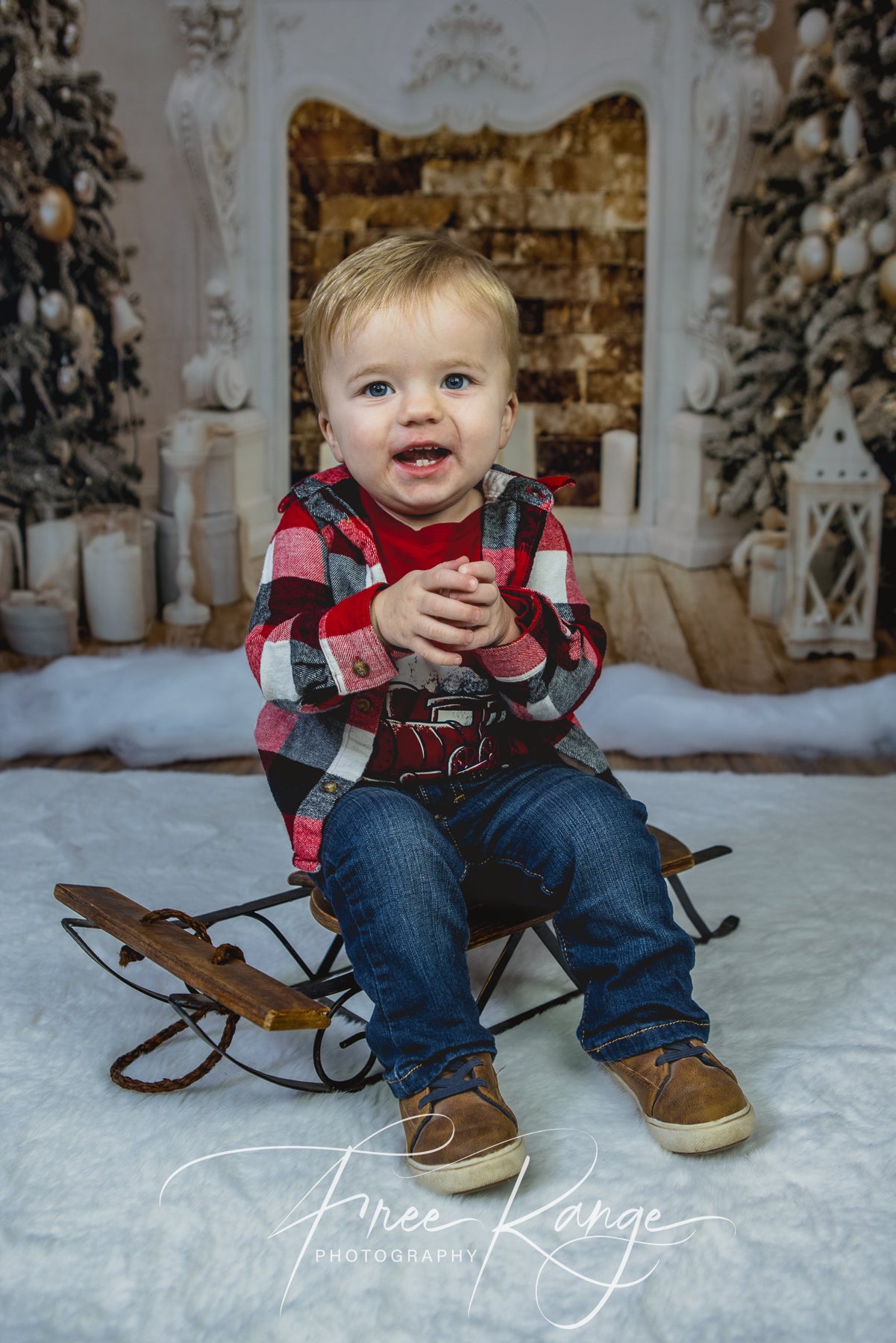 Christmas Holiday  Photography Studio Backdrop D816