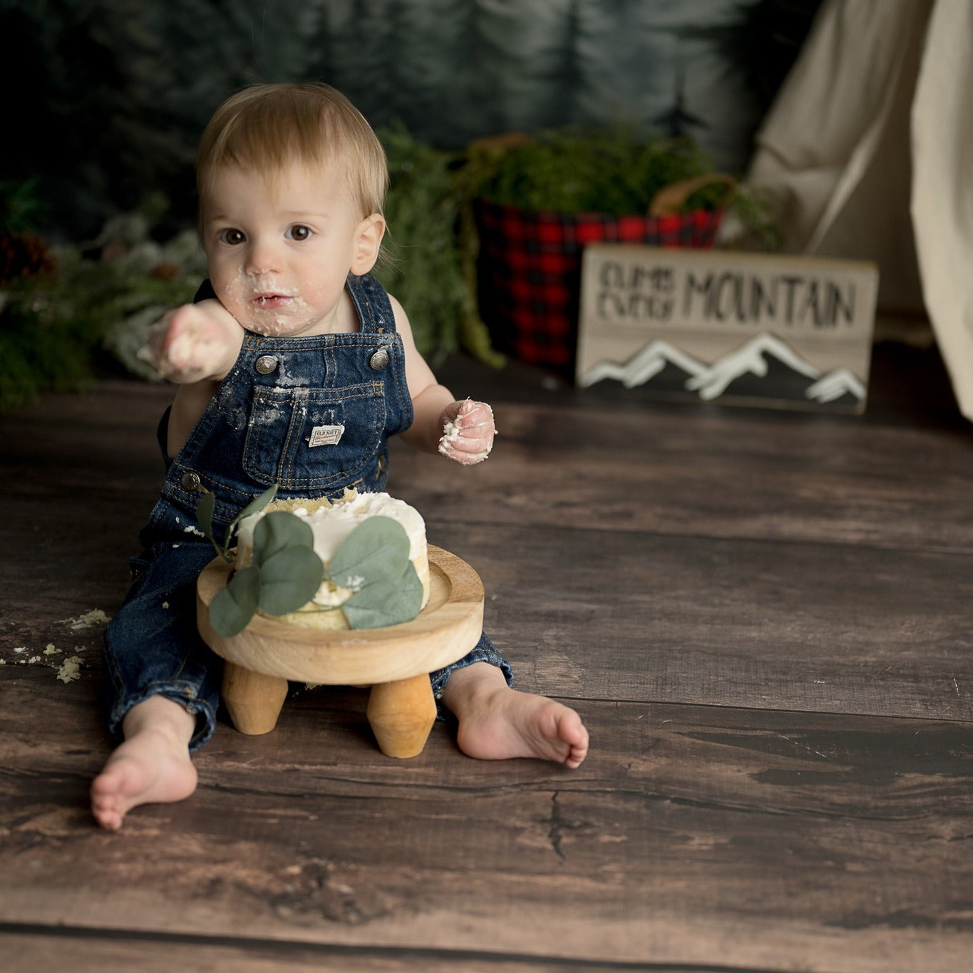 Forest Backdrop Forest Mountain Mist Layers Forest Photography Backdrop UK MRR9-74