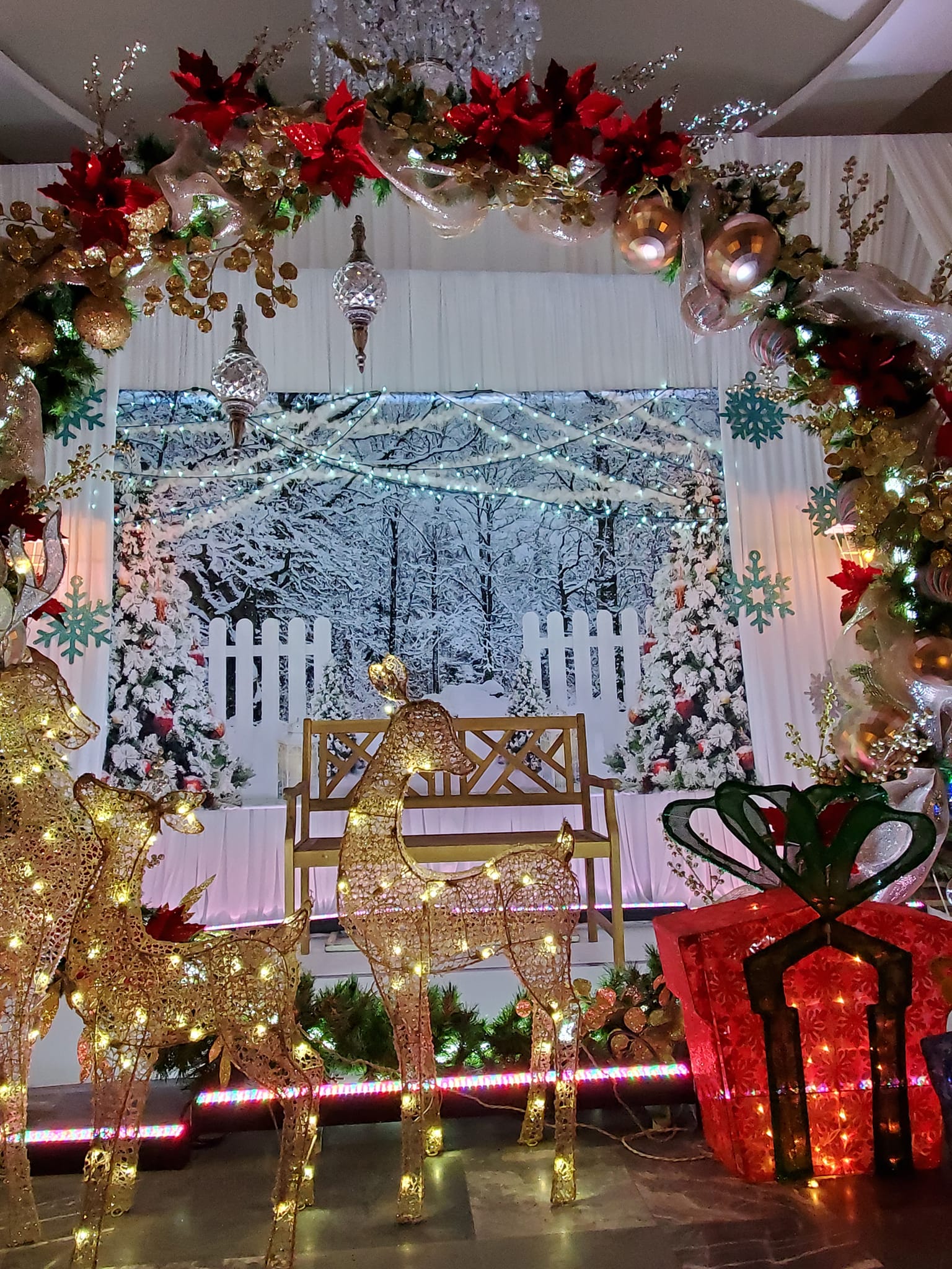 Frozen Forest Light Strings Christmas Backdrop D990