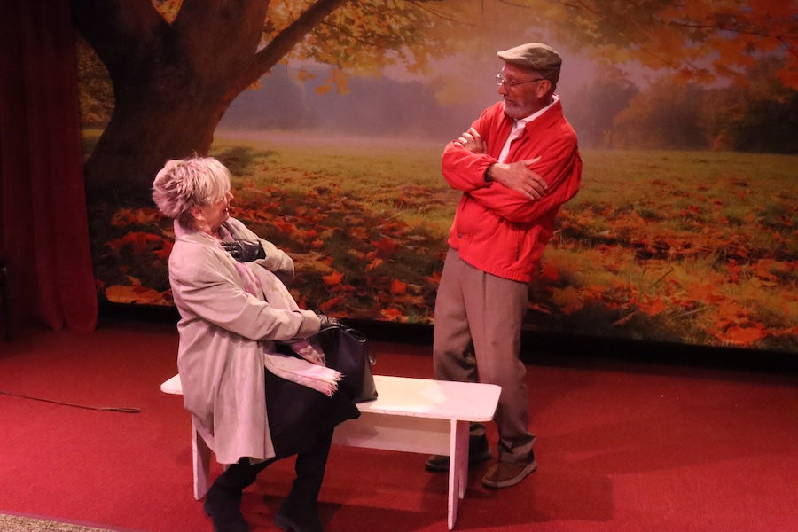 Maple Tree Autumn Scenery Photography Backdrop UK M6-102